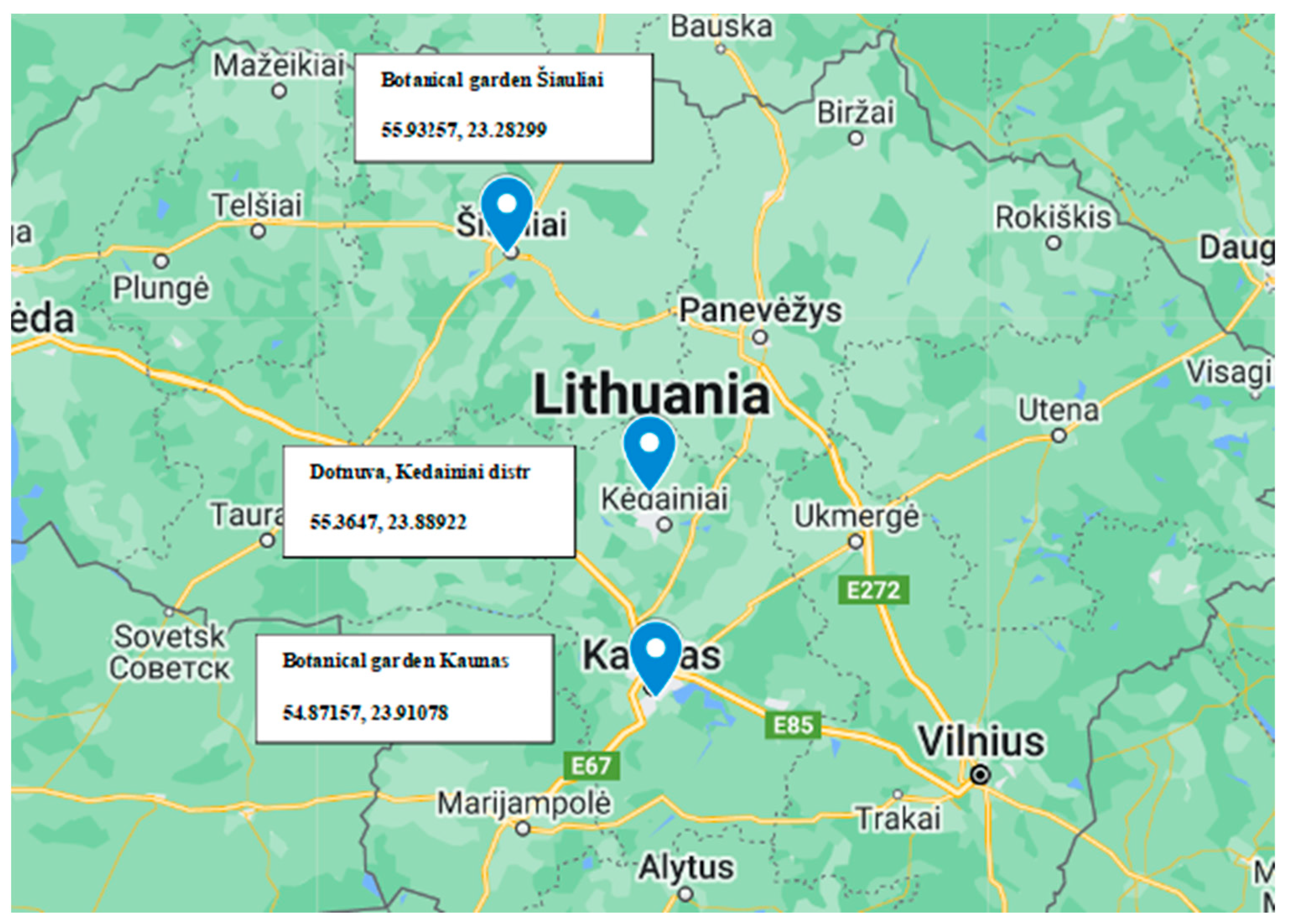 Plants 13 01684 g010