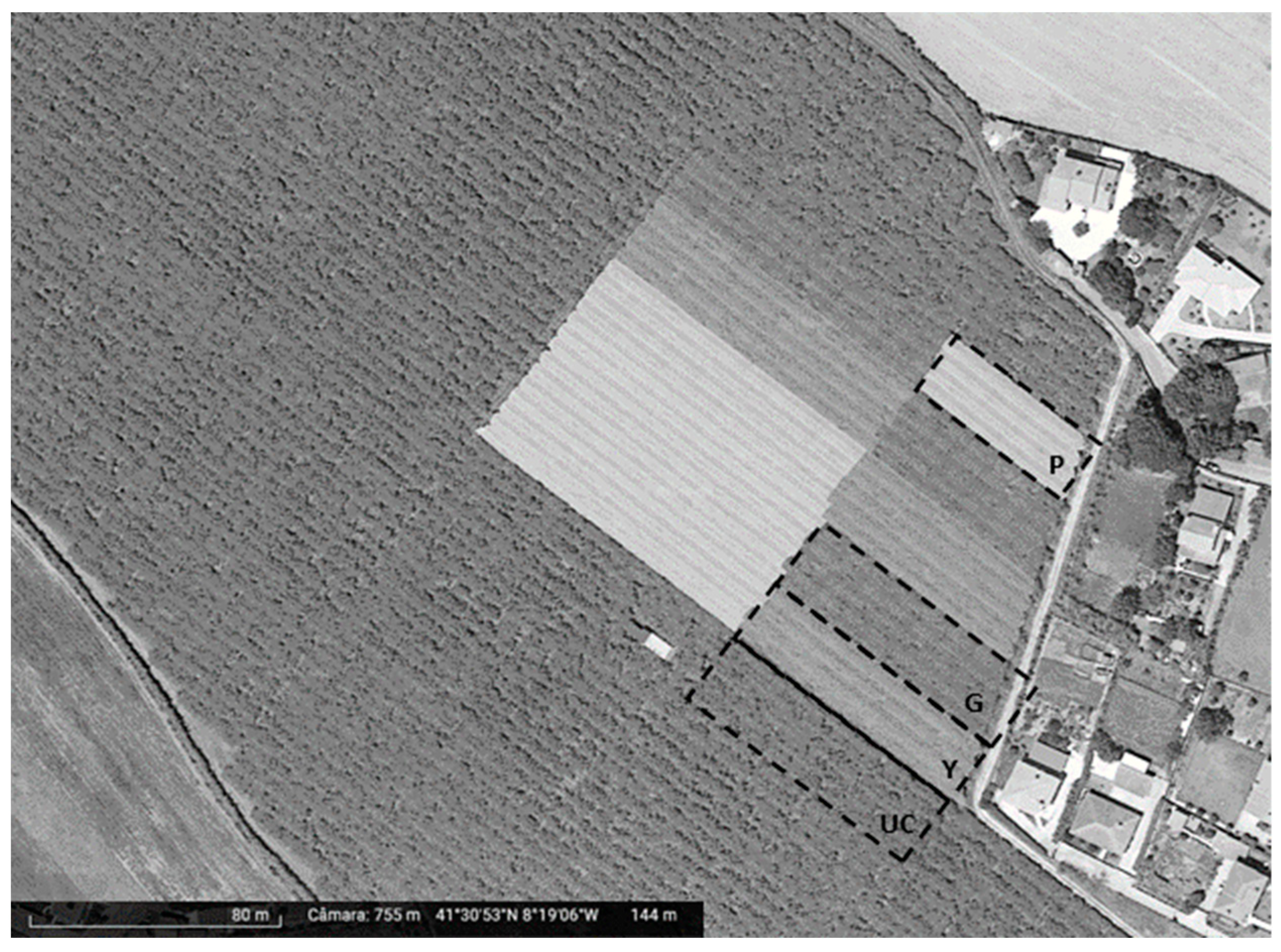 Plants 13 01691 g003 Plants 13 01691 g003