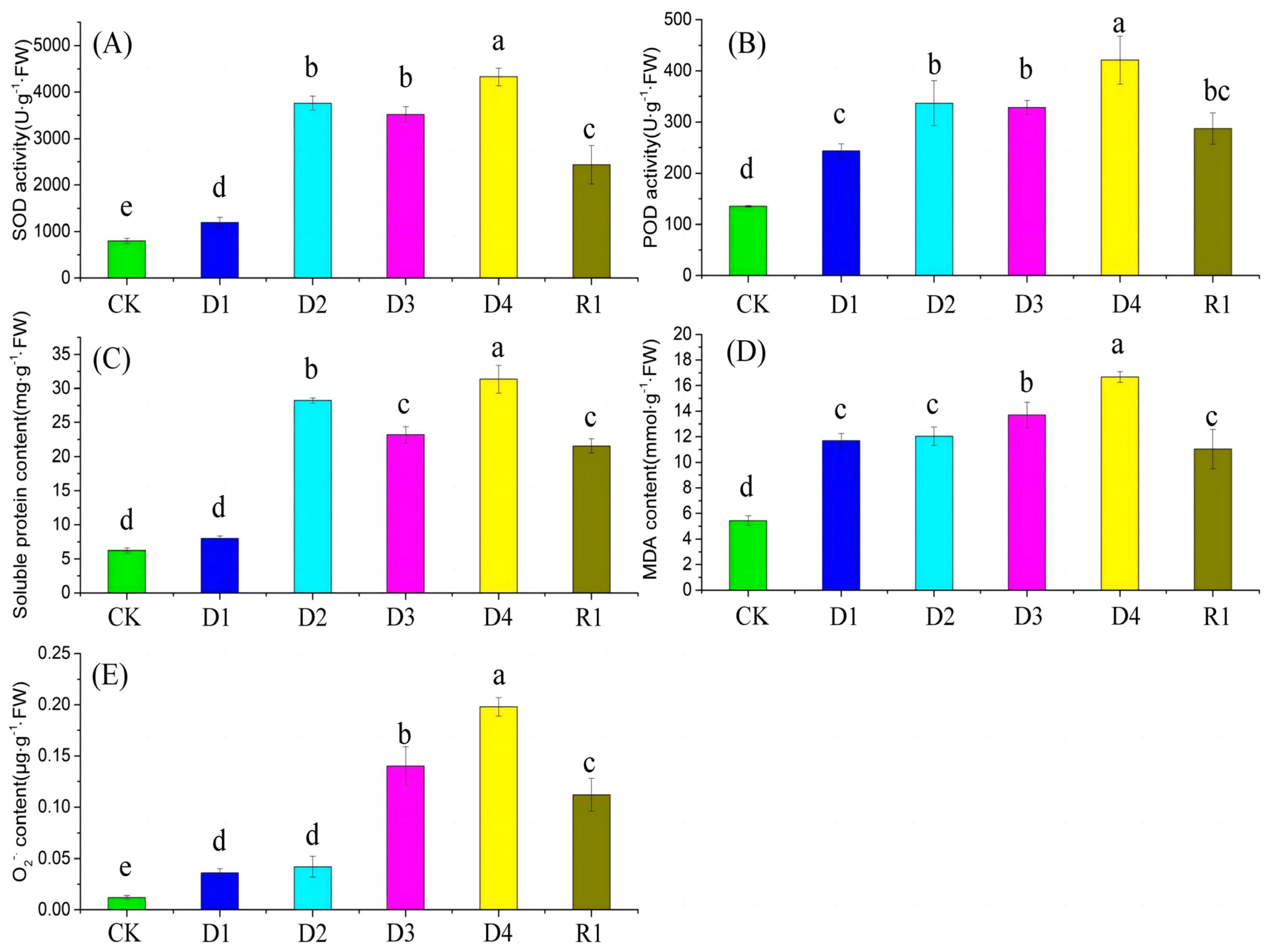 Plants 13 01693 g001