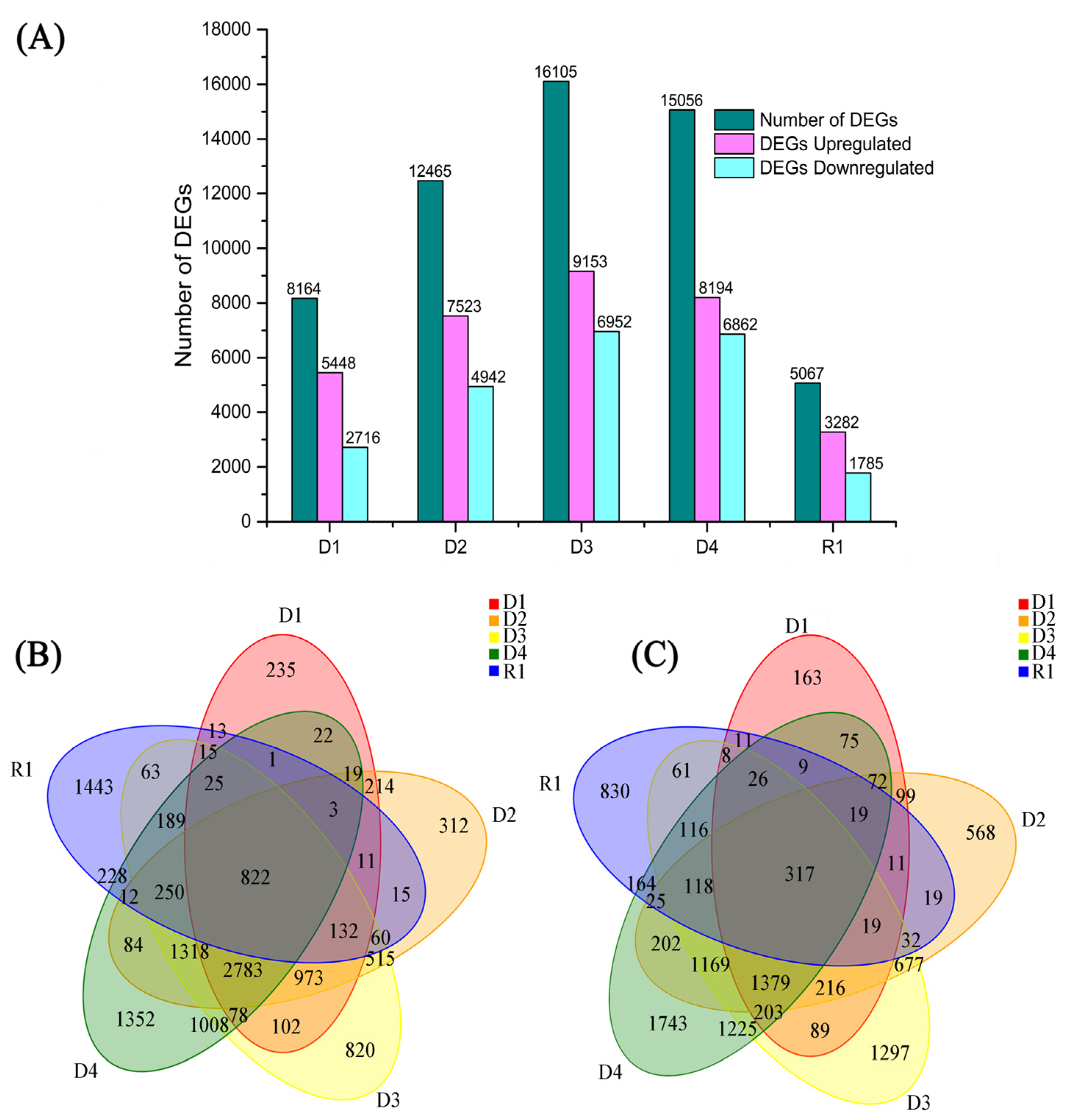 Plants 13 01693 g003