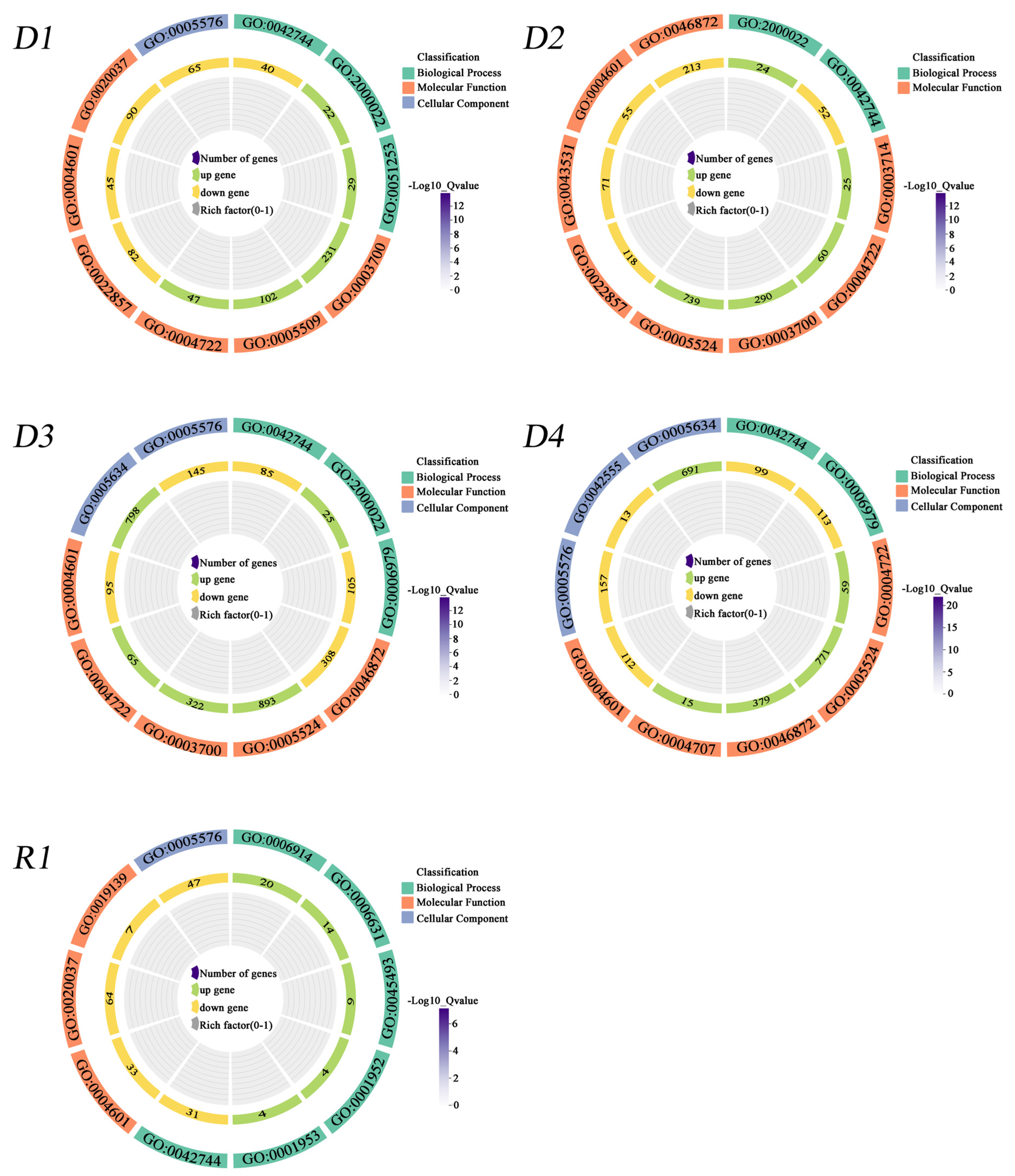 Plants 13 01693 g004