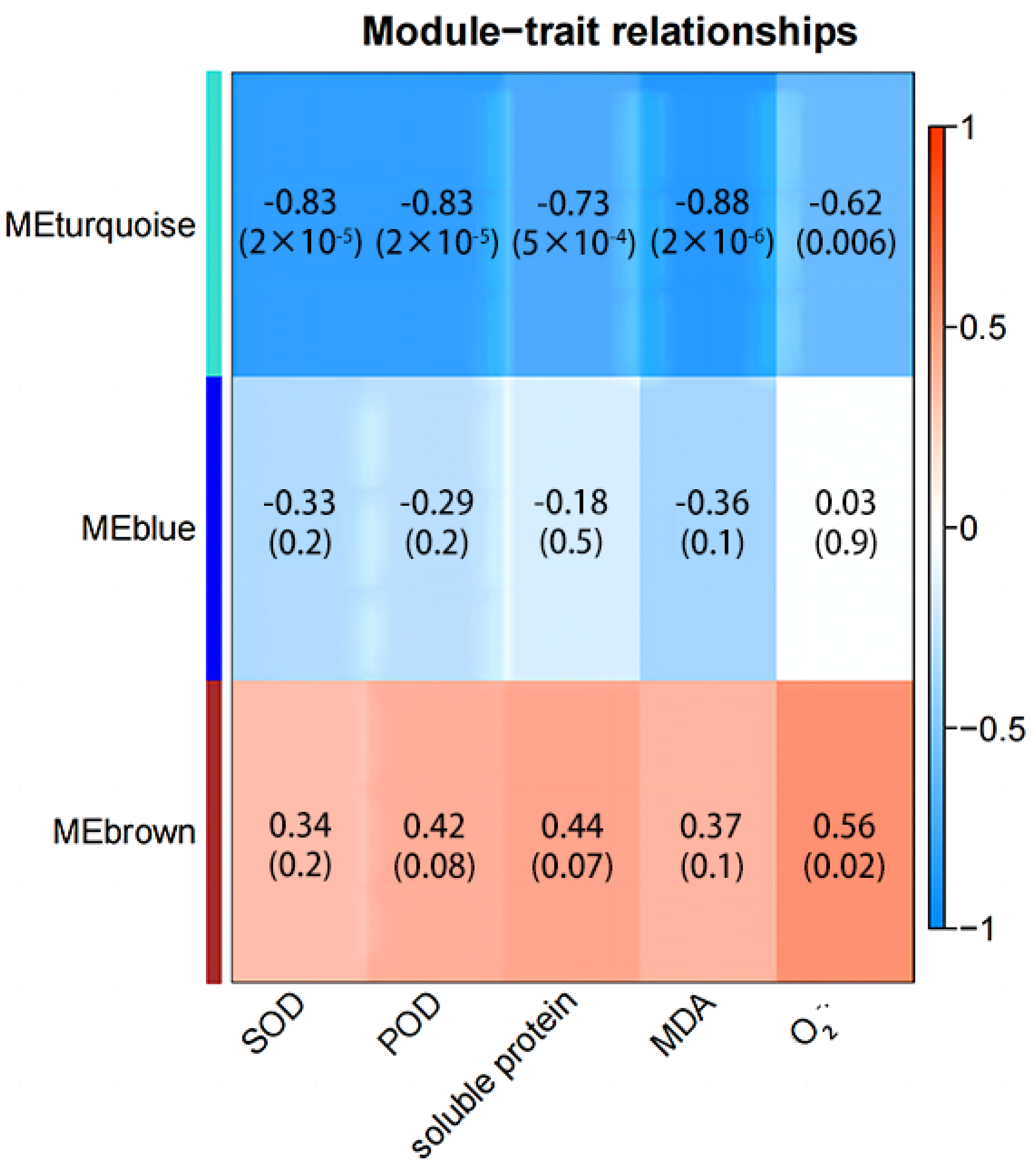 Plants 13 01693 g007