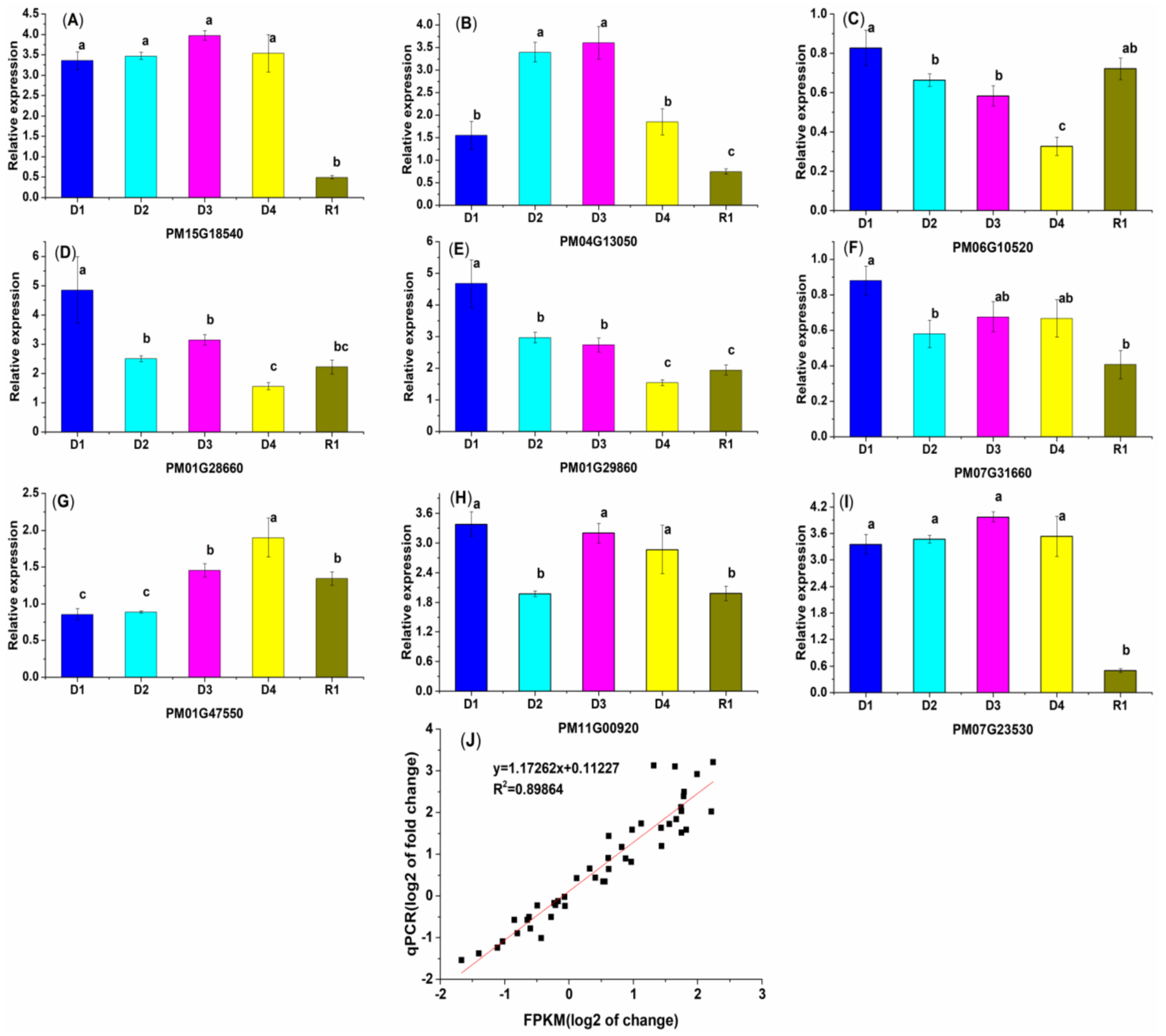 Plants 13 01693 g008