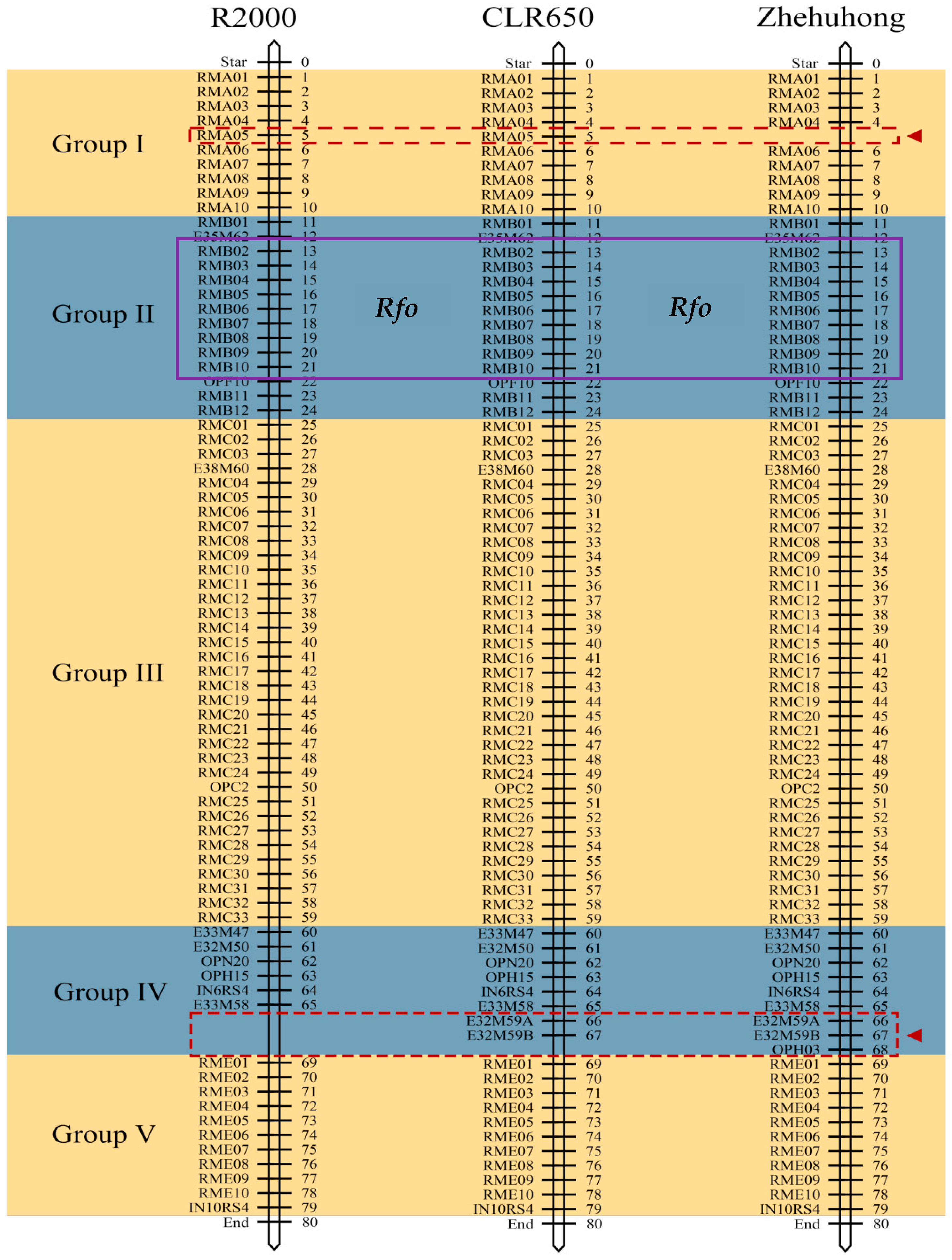 Plants 13 01703 g003
