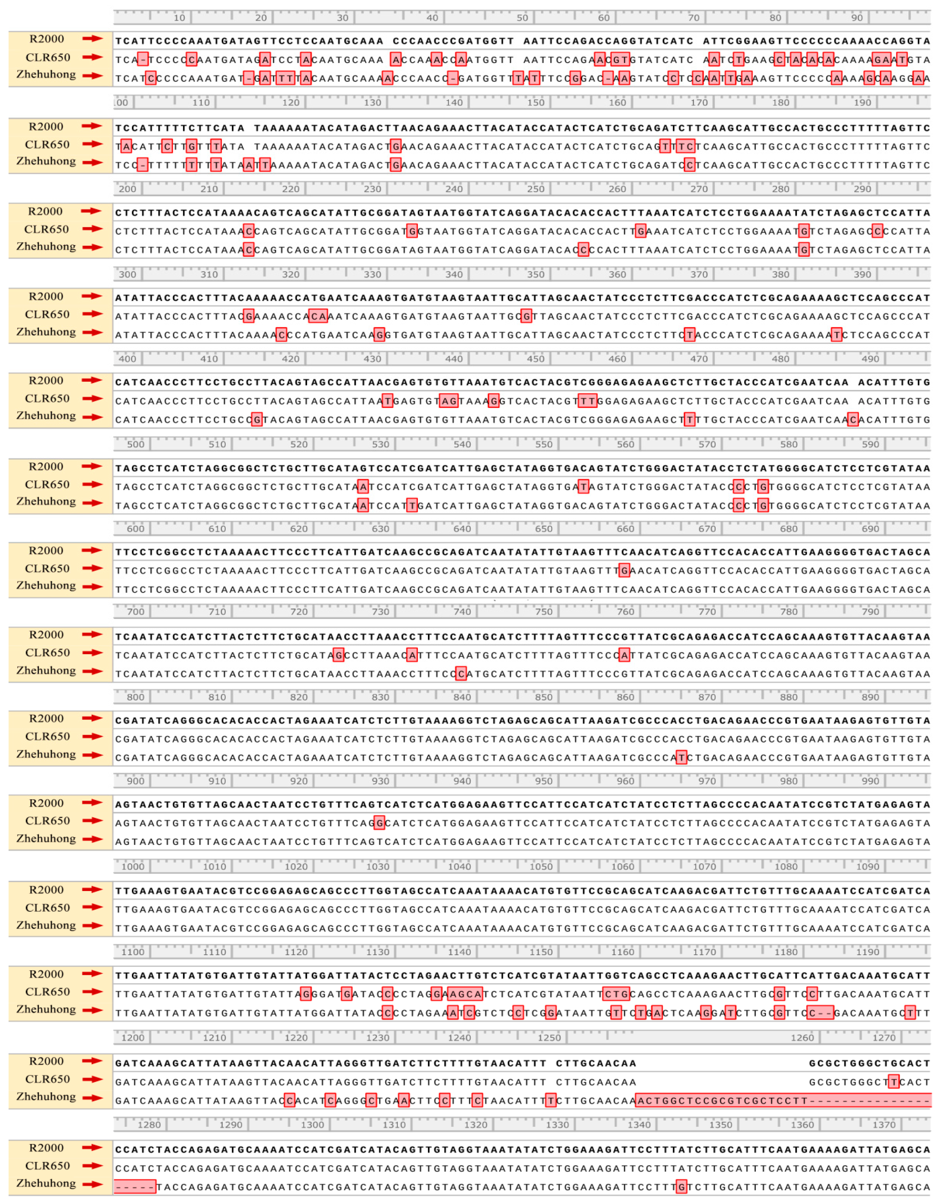 Plants 13 01703 g004a