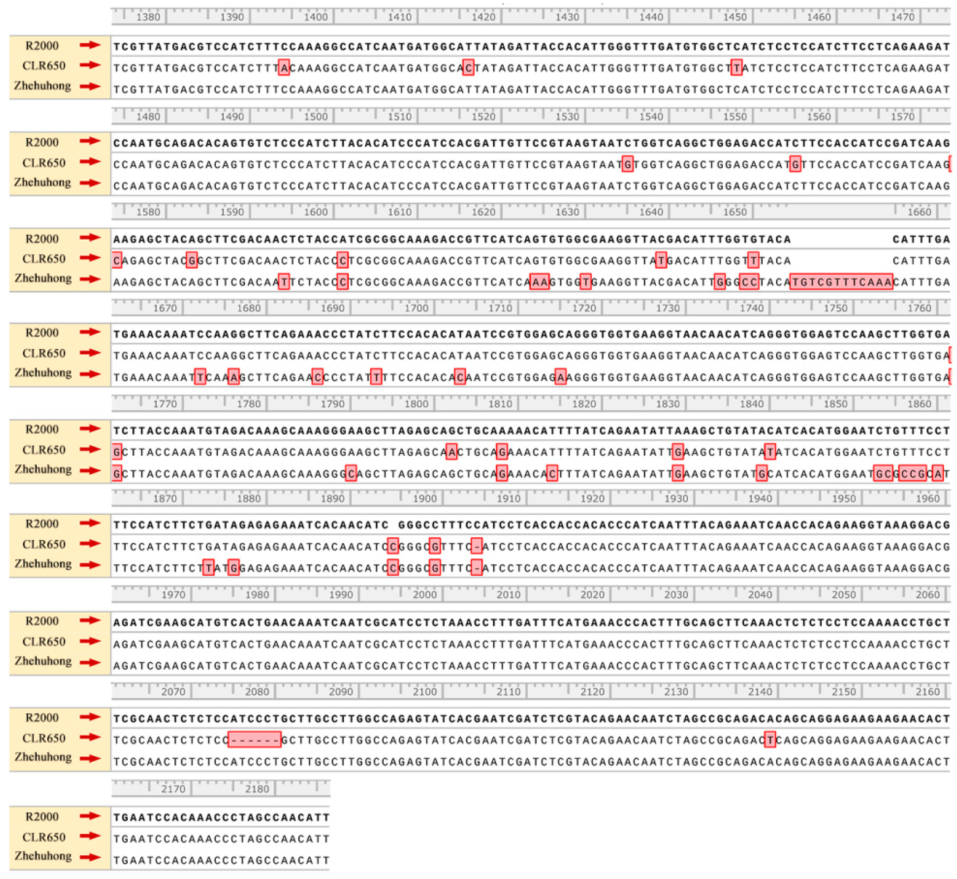 Plants 13 01703 g004b