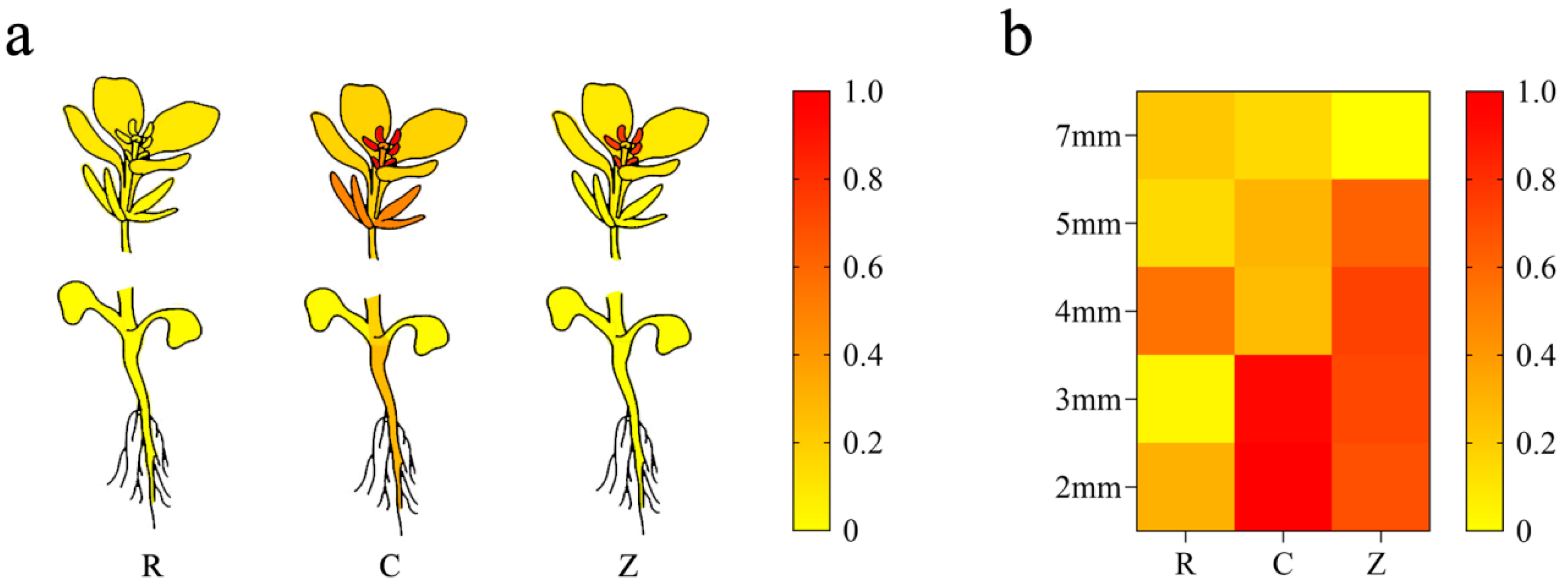 Plants 13 01703 g005