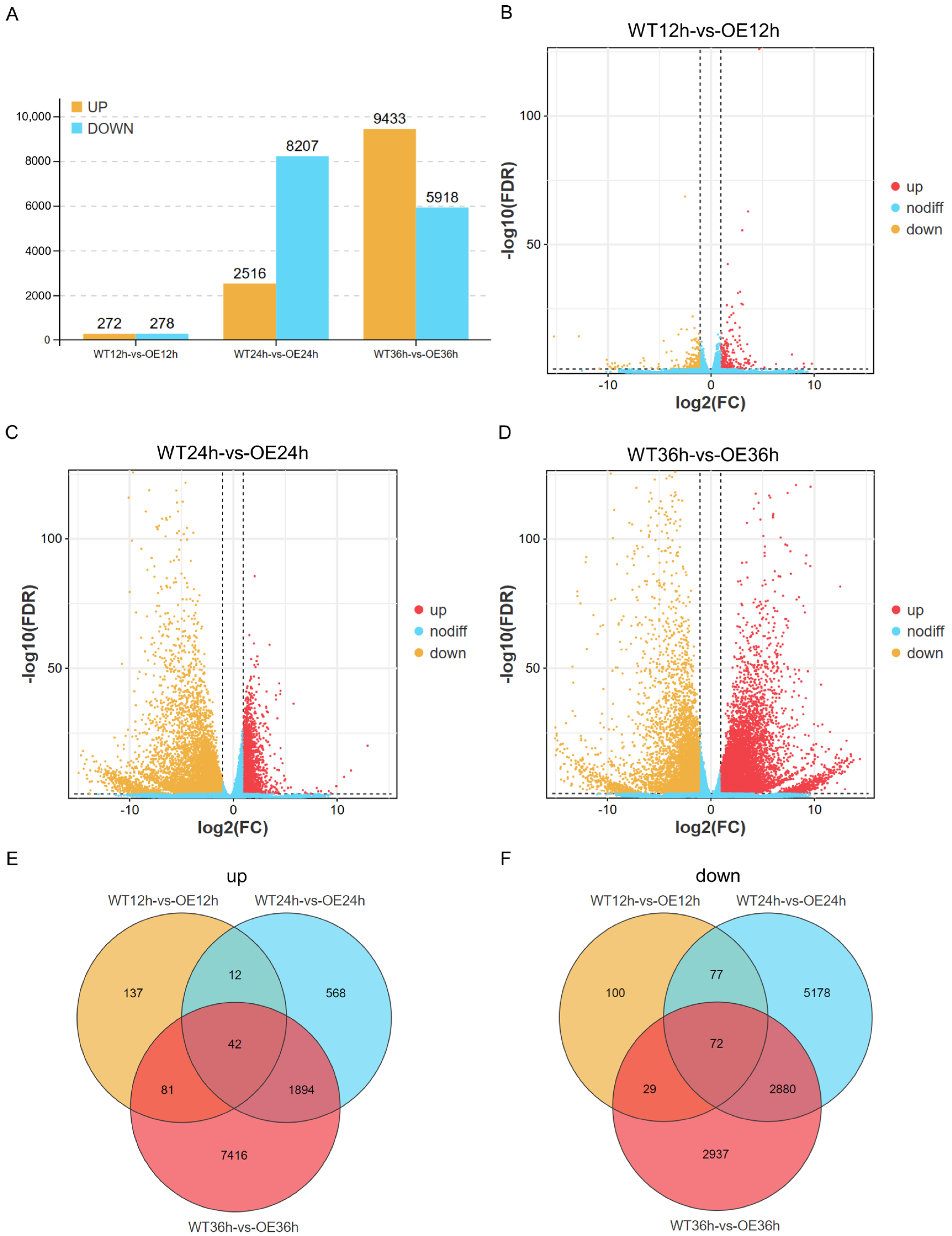 Plants 13 01705 g001