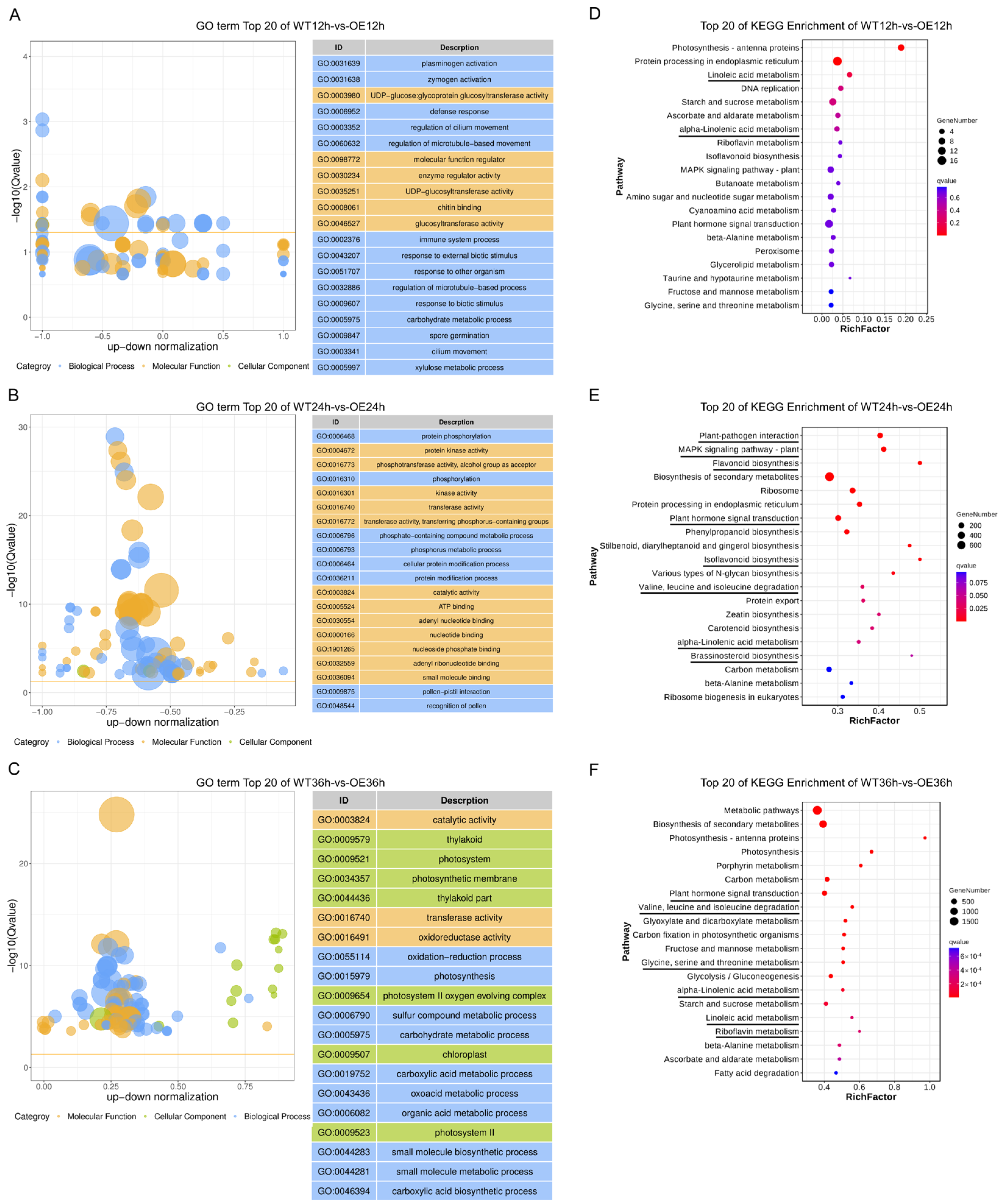 Plants 13 01705 g002