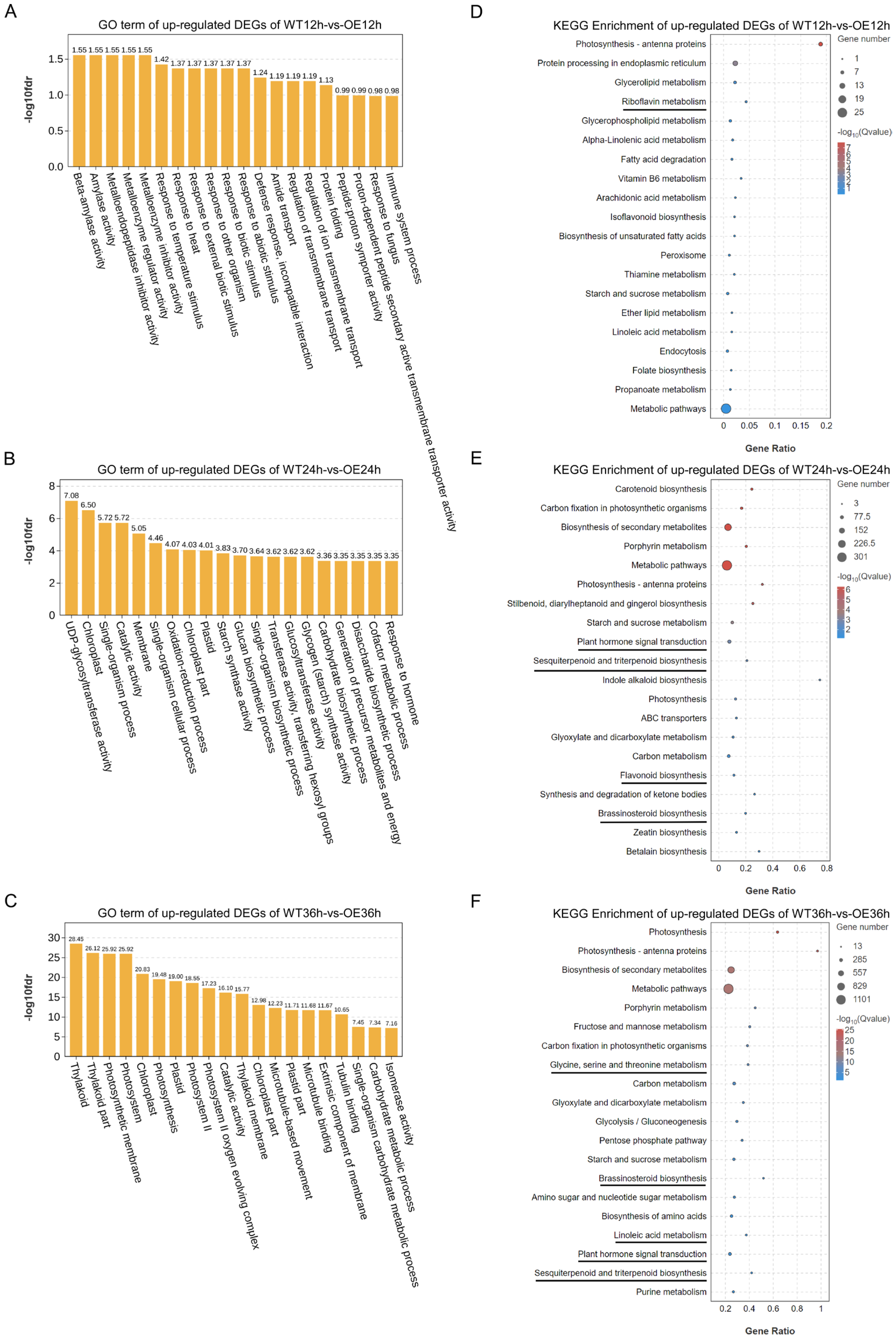 Plants 13 01705 g003