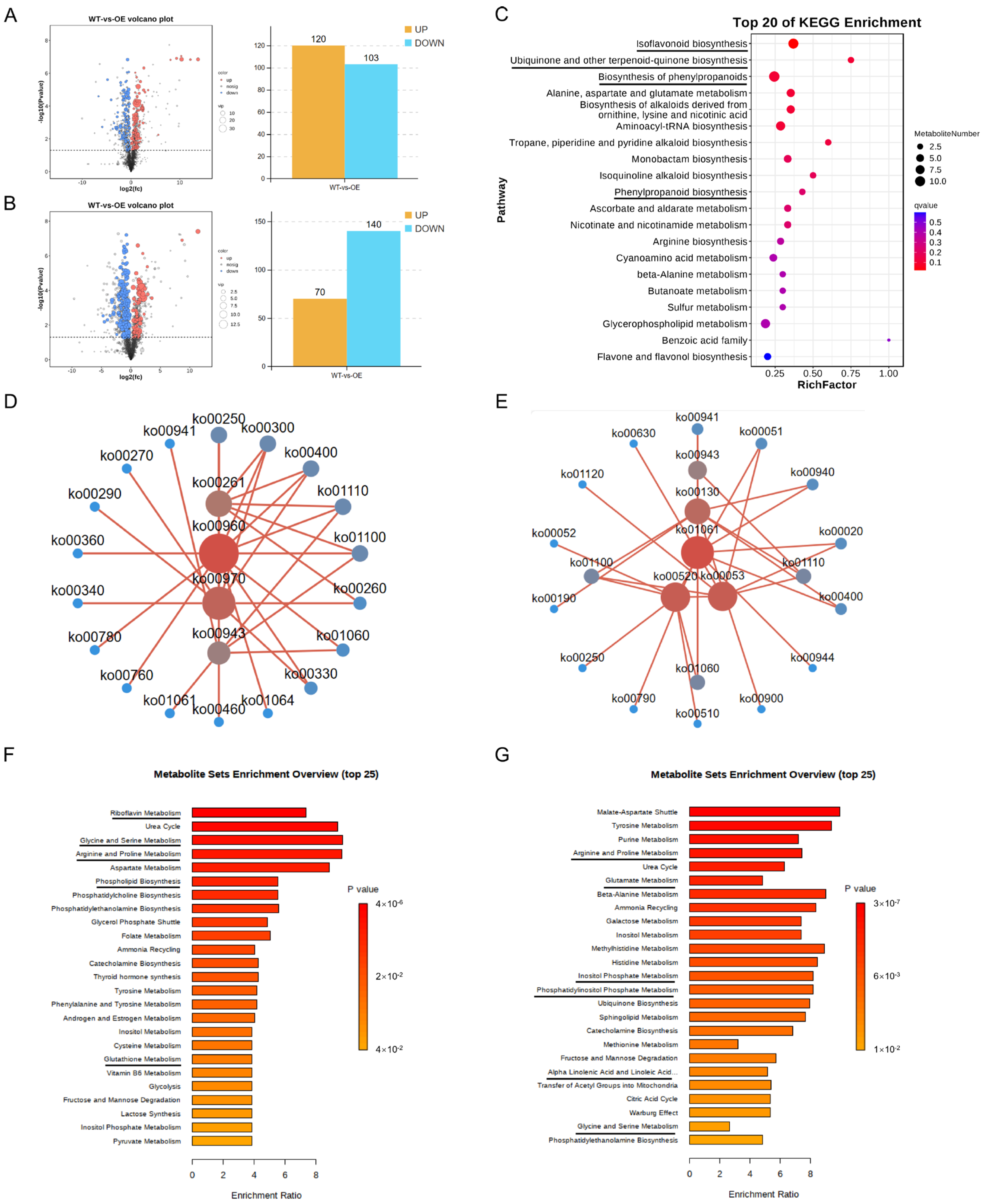Plants 13 01705 g005