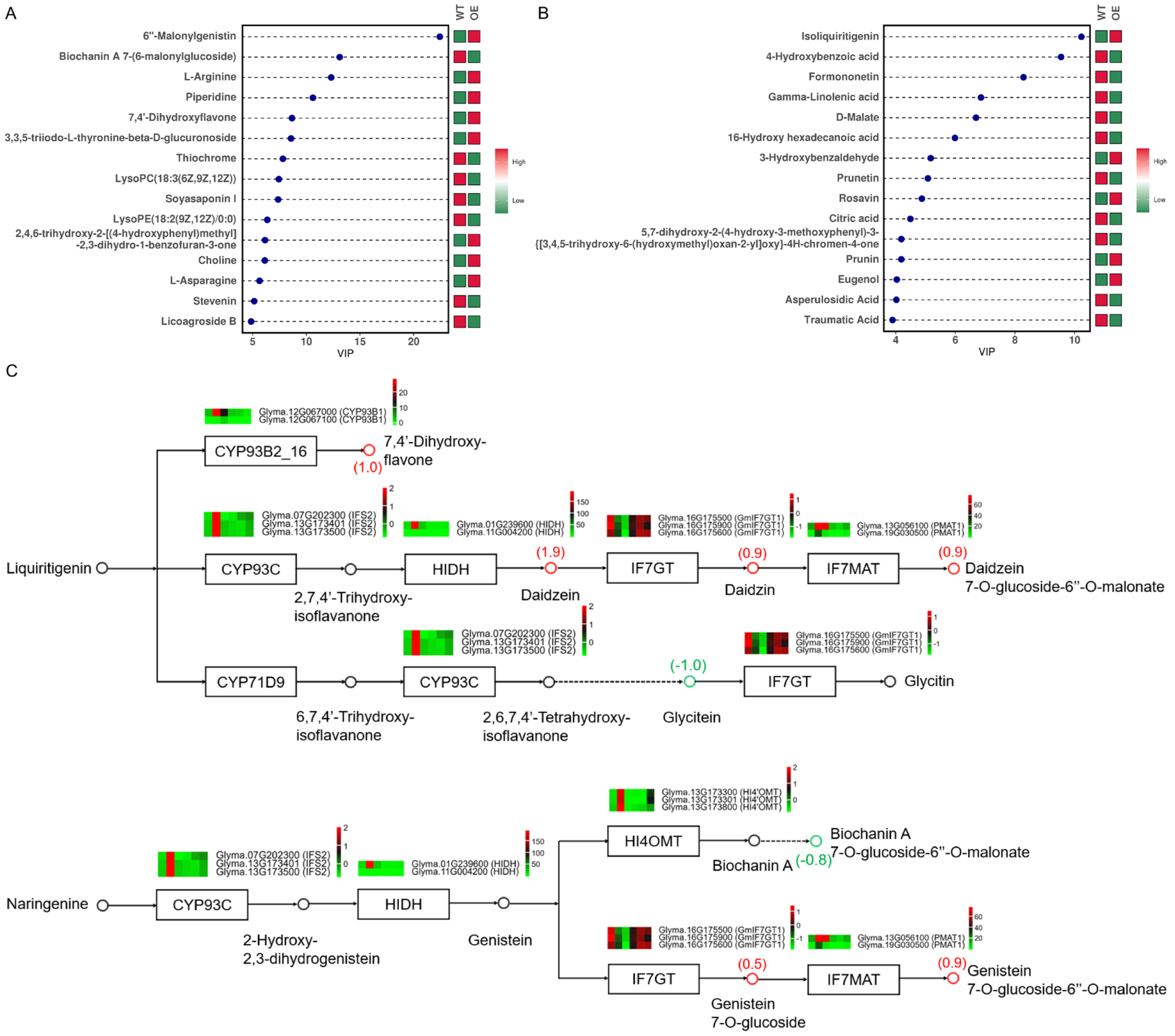 Plants 13 01705 g006