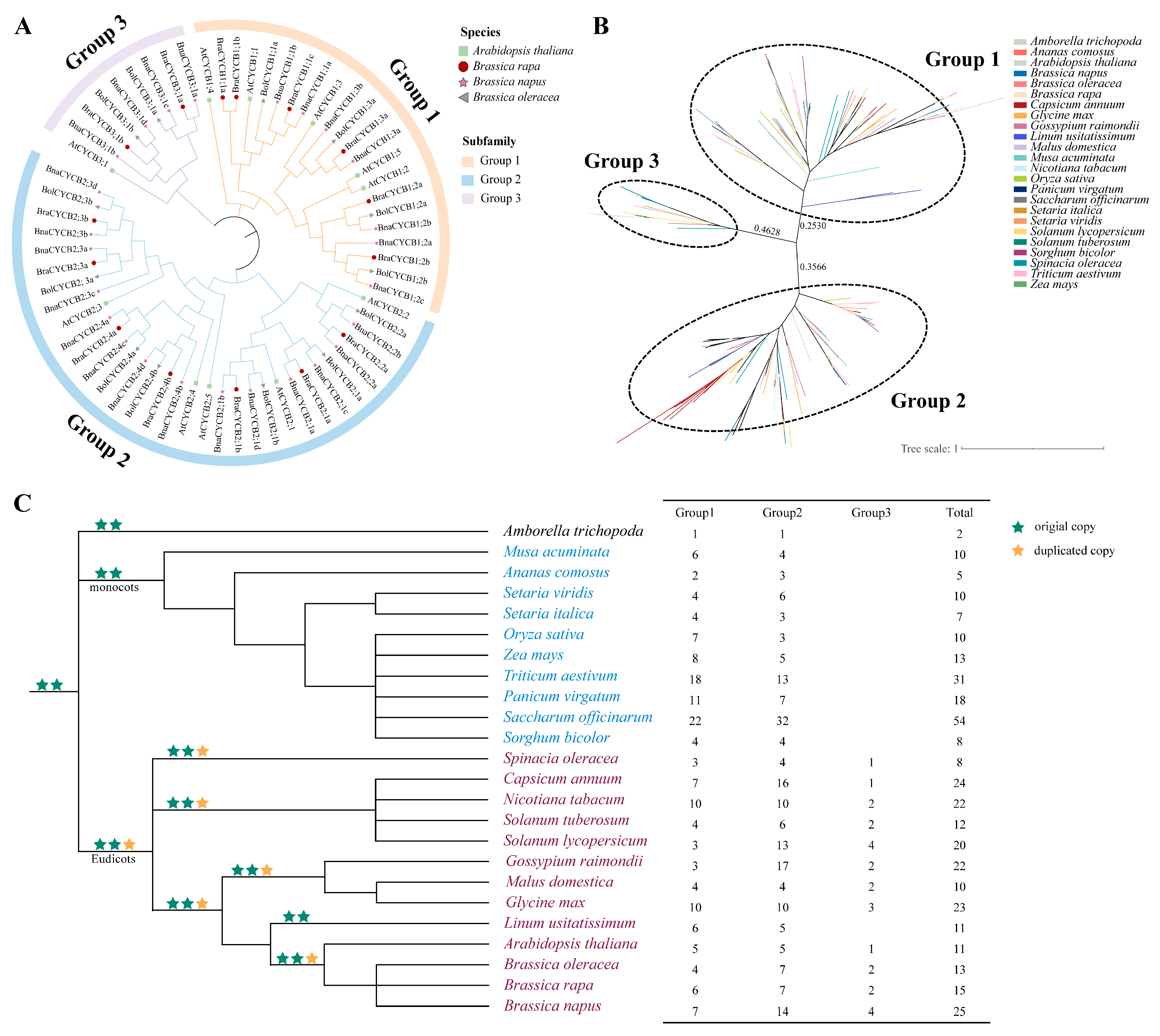 Plants 13 01709 g001