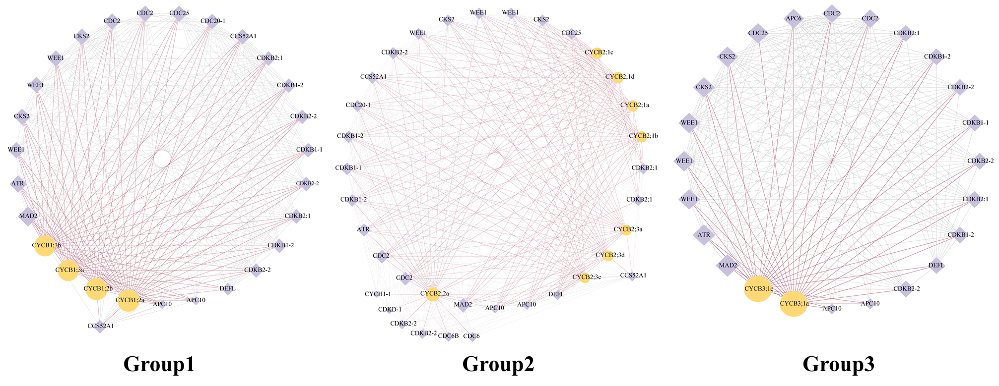 Plants 13 01709 g005