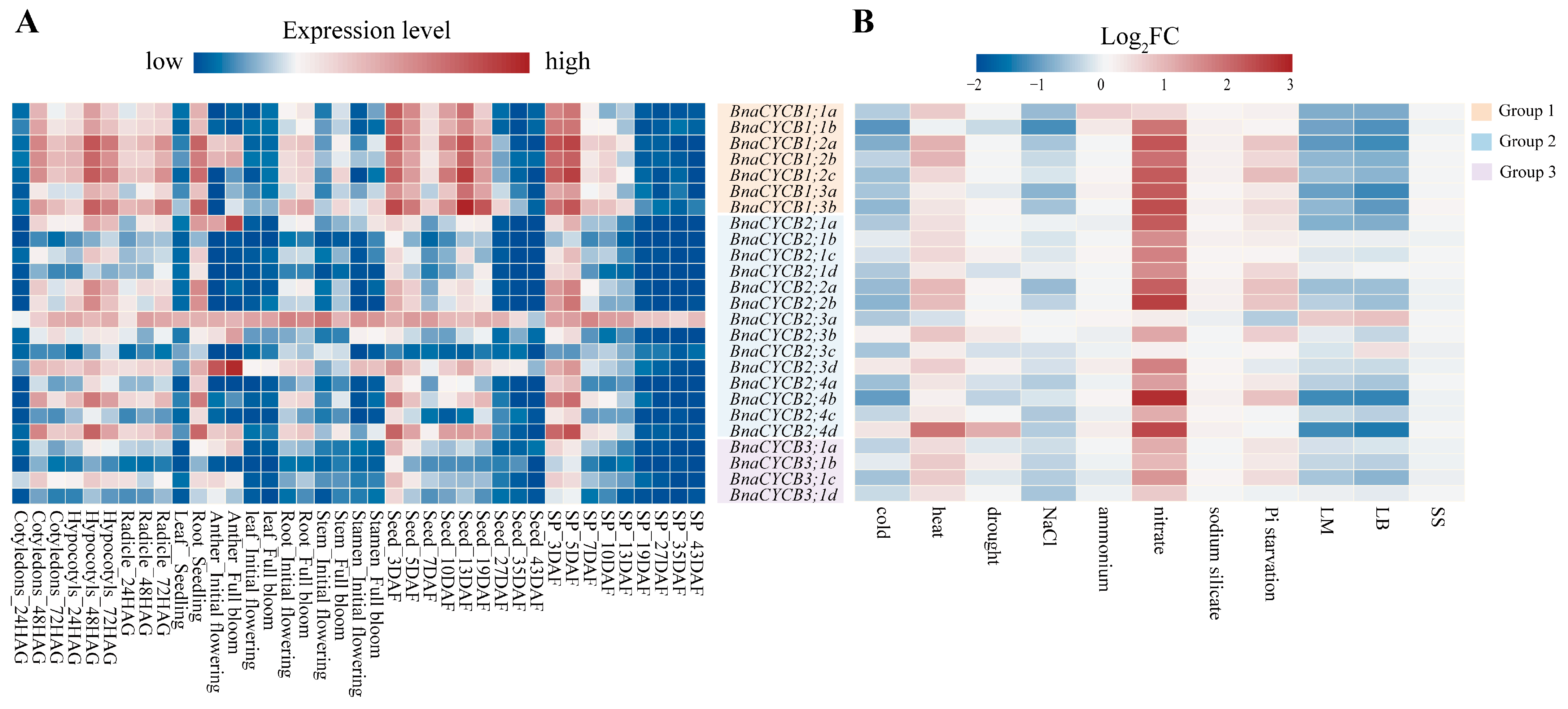 Plants 13 01709 g006