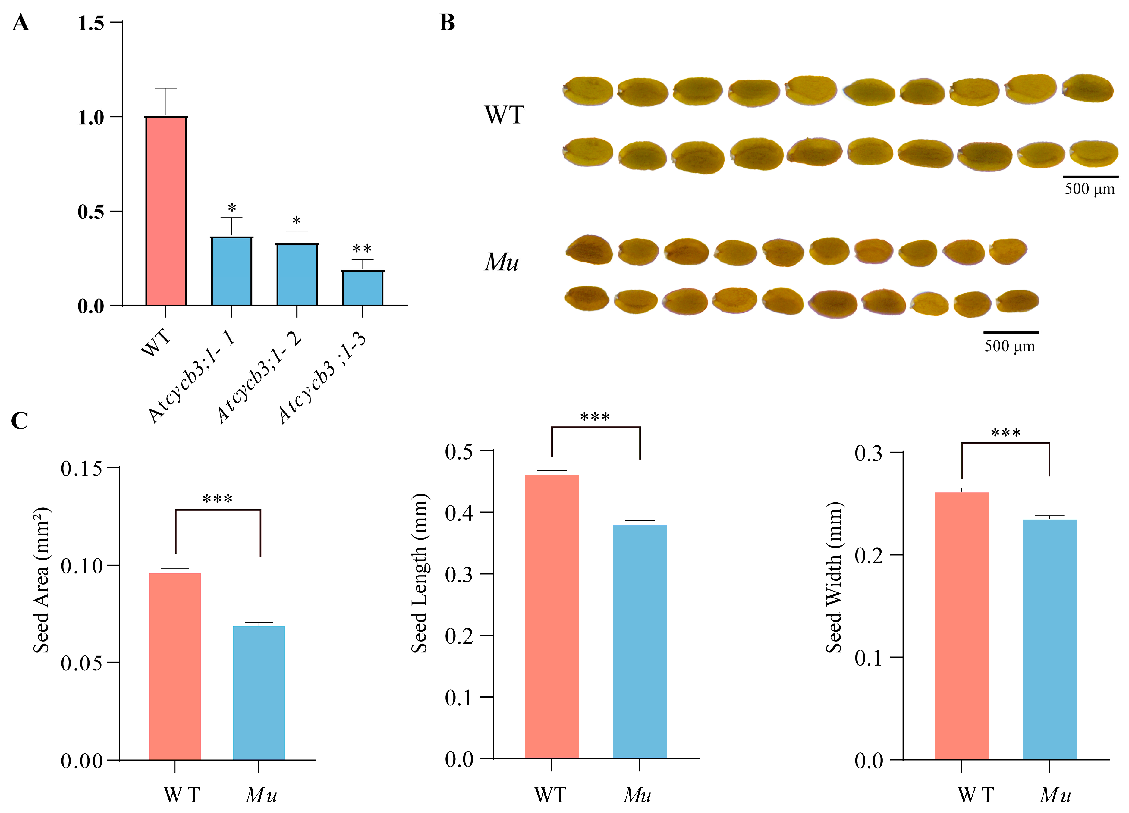 Plants 13 01709 g007