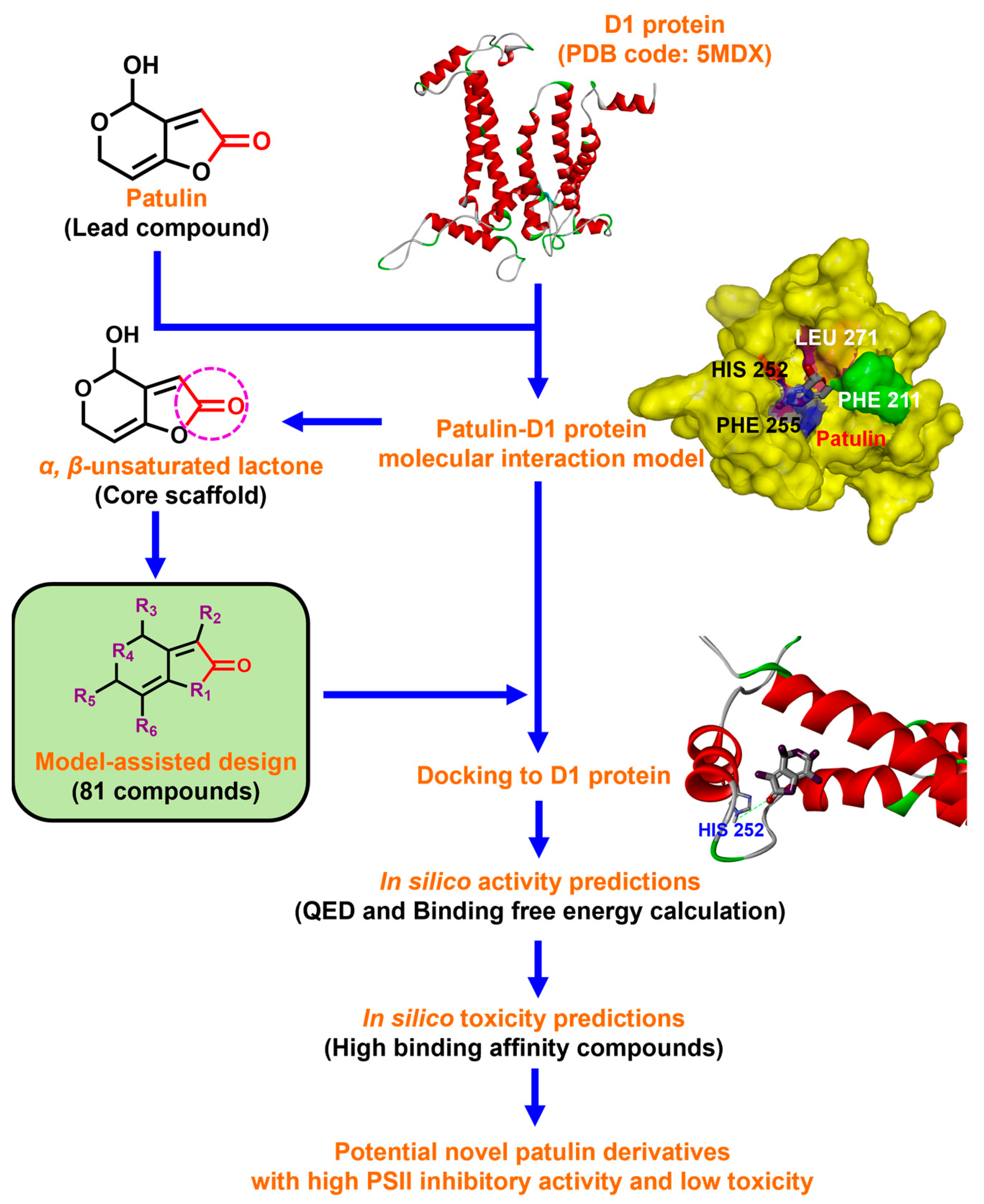 Plants 13 01710 g001