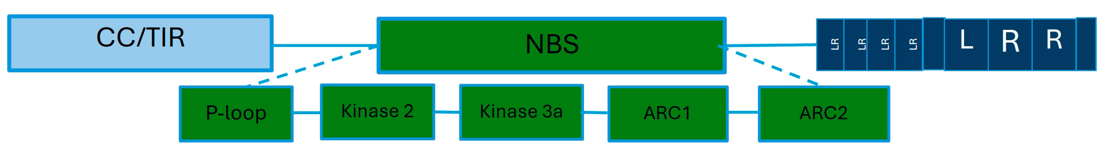 Plants 13 01711 g003 Plants 13 01711 g003