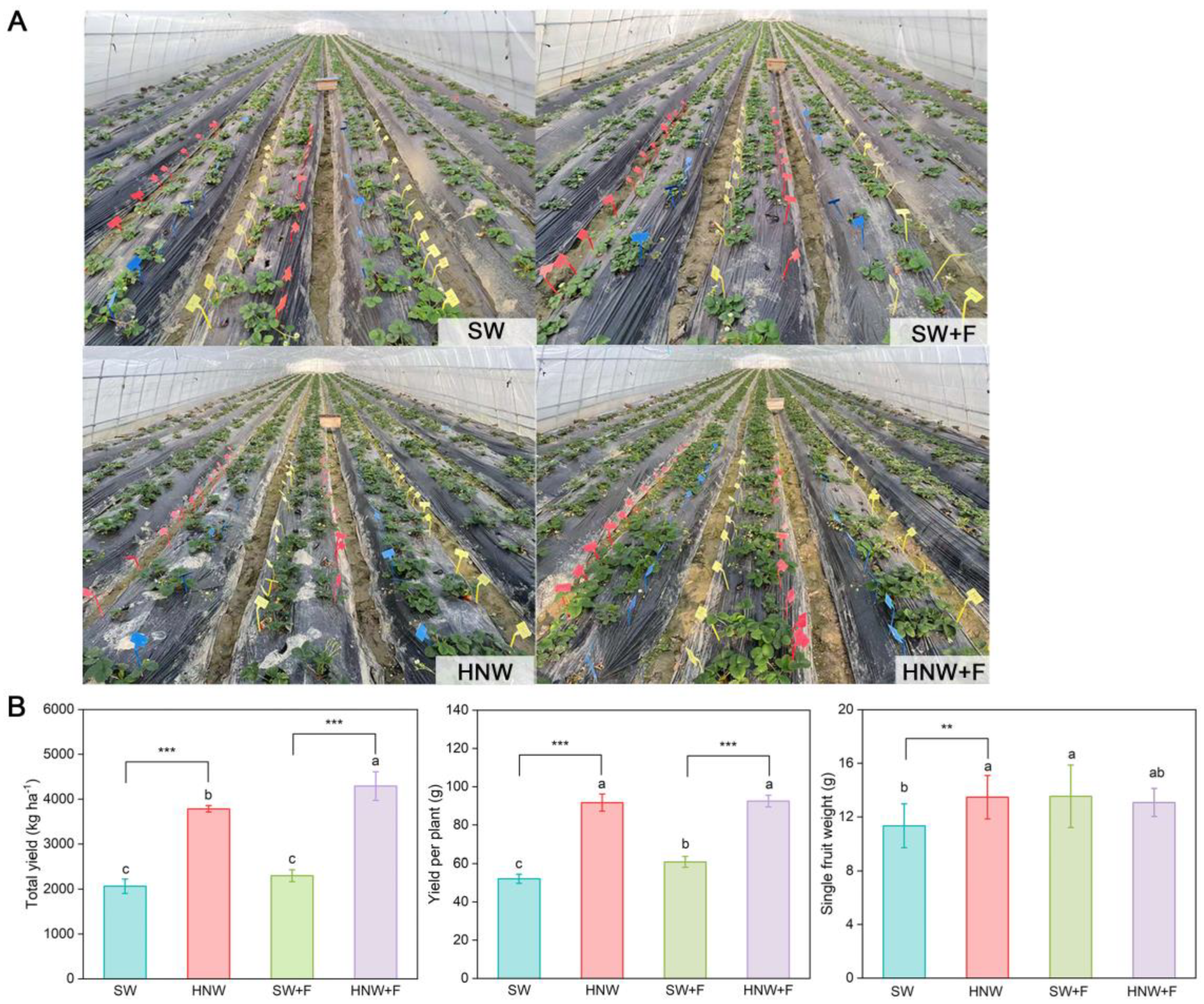 Plants 13 01723 g001