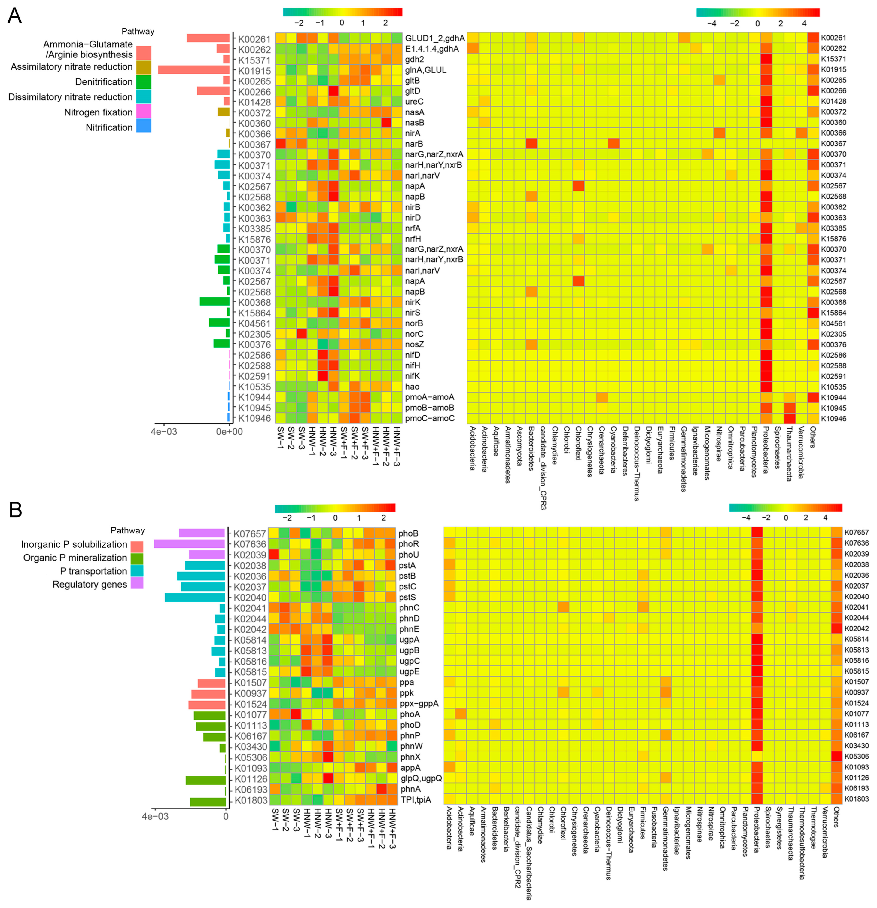 Plants 13 01723 g003