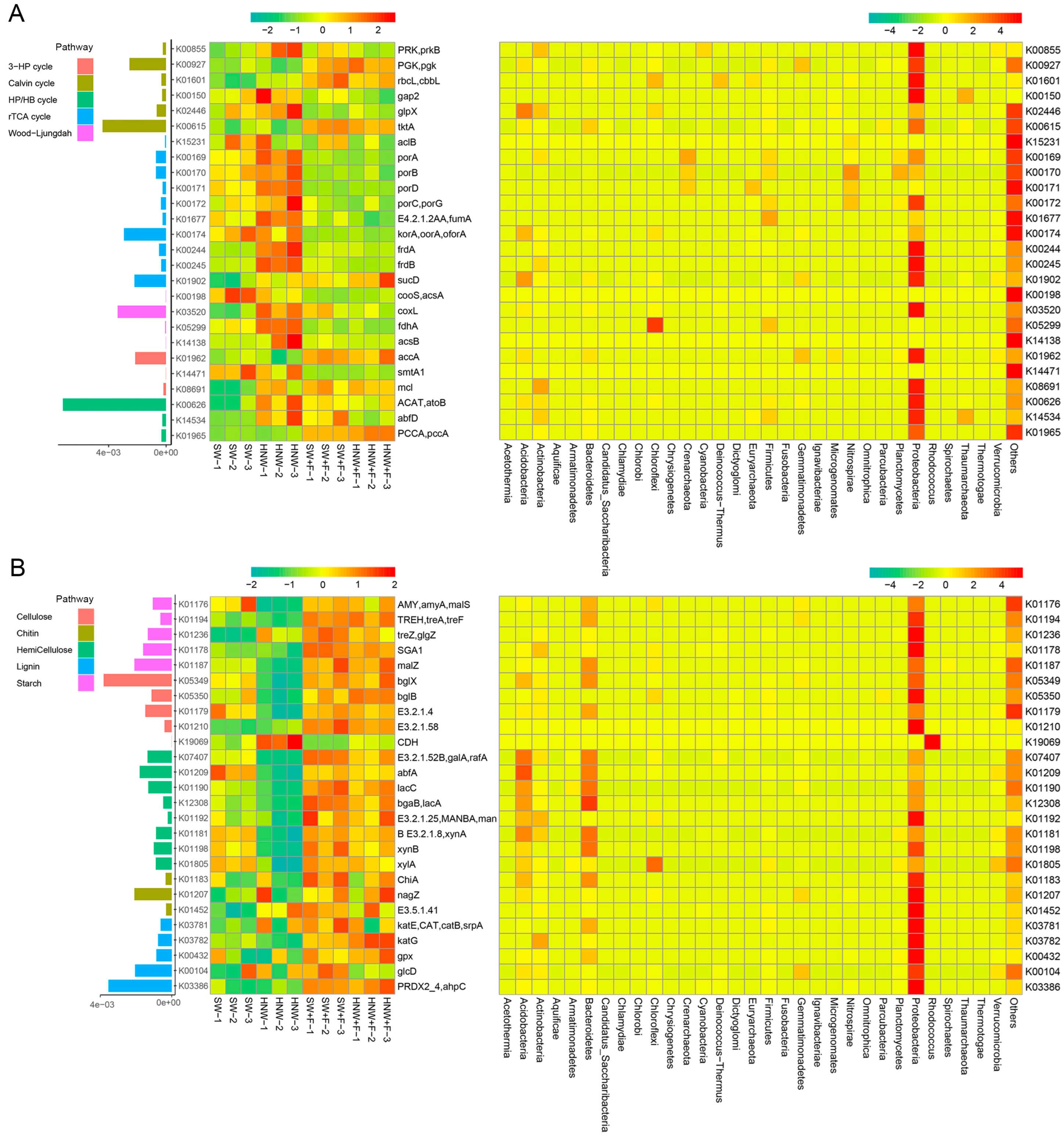 Plants 13 01723 g004
