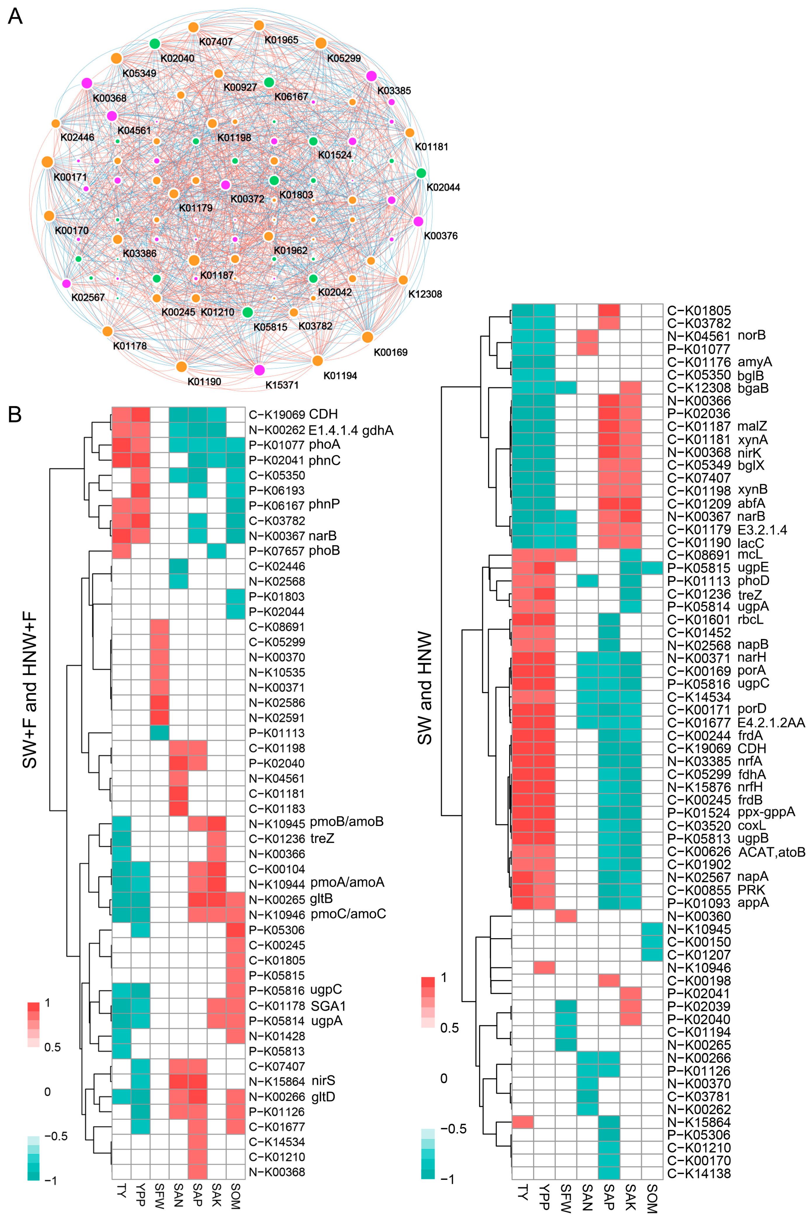 Plants 13 01723 g005