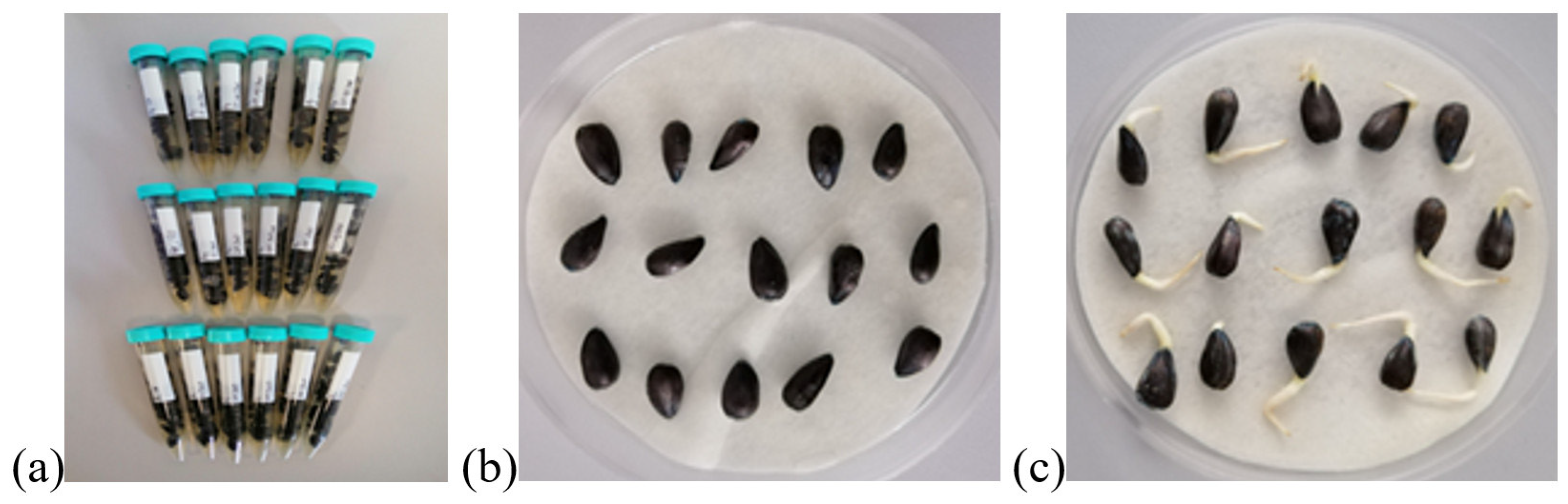 Plants 13 01724 g006 Plants 13 01724 g006