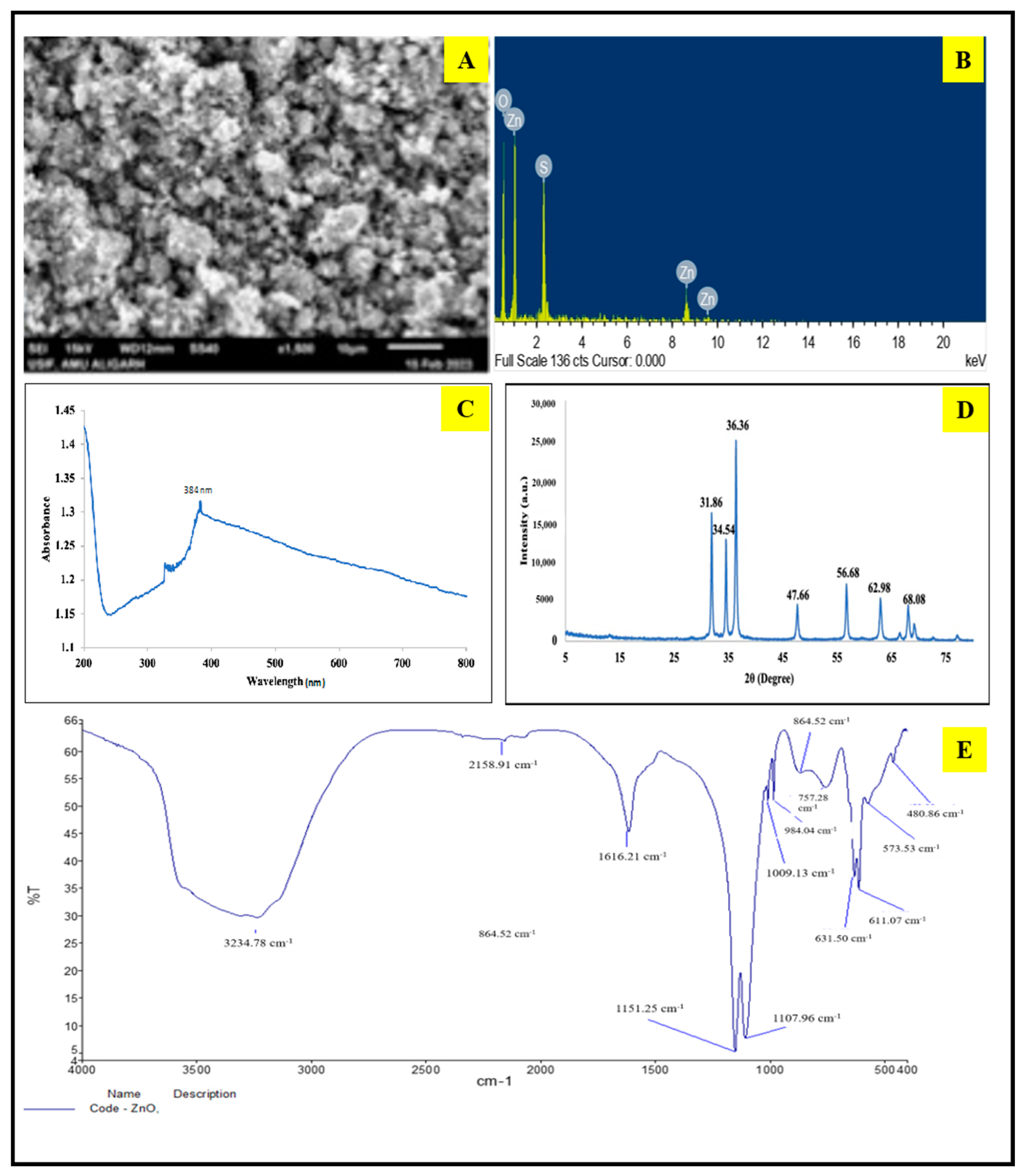 Plants 13 01743 g002