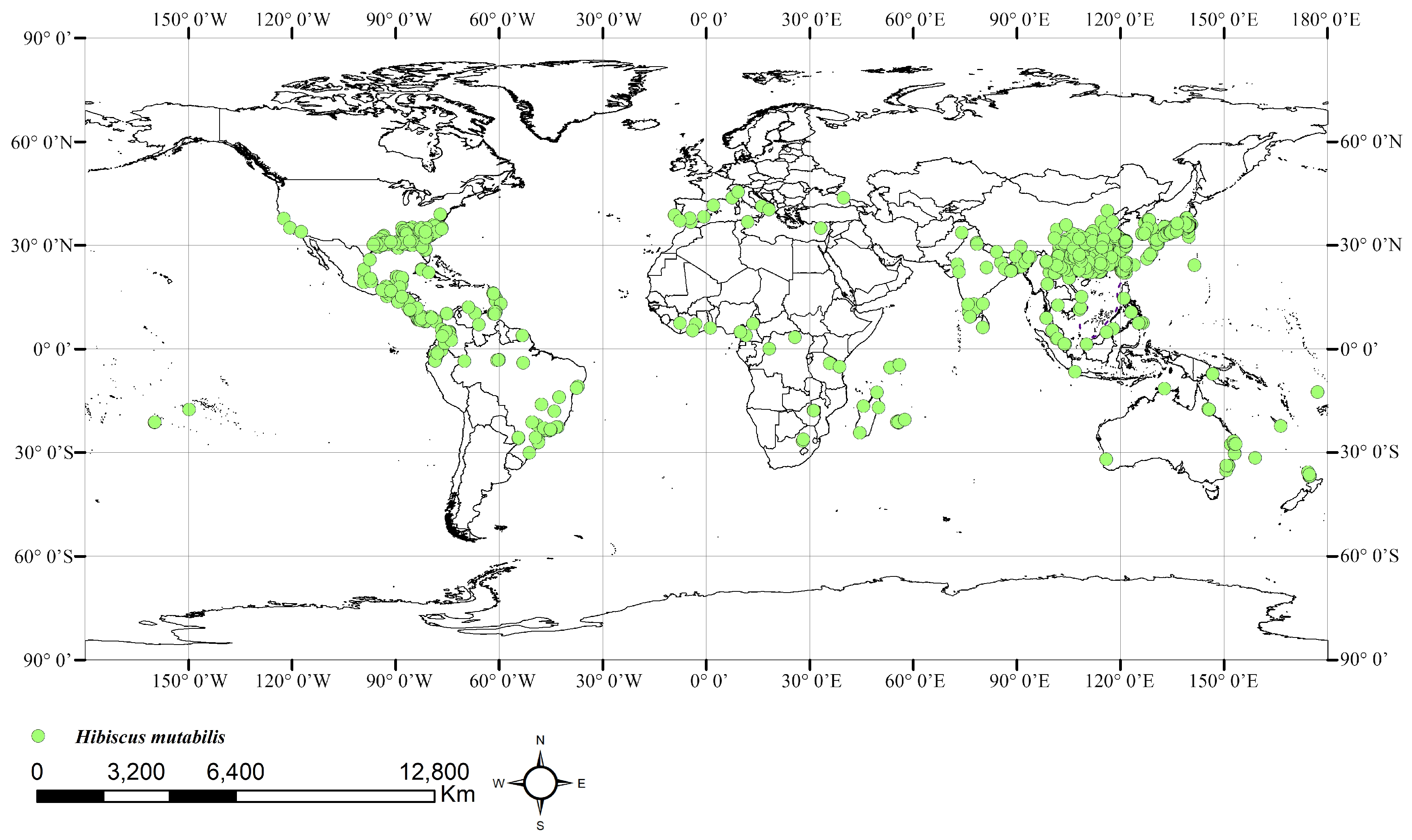 Plants 13 01744 g001