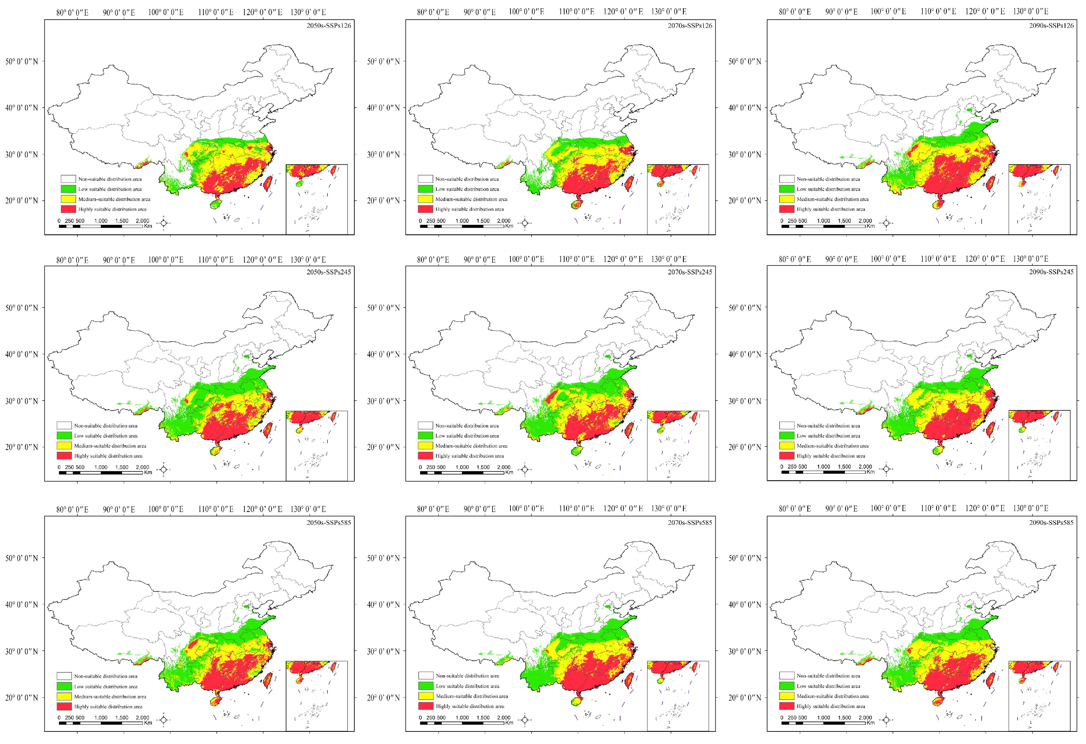 Plants 13 01744 g006