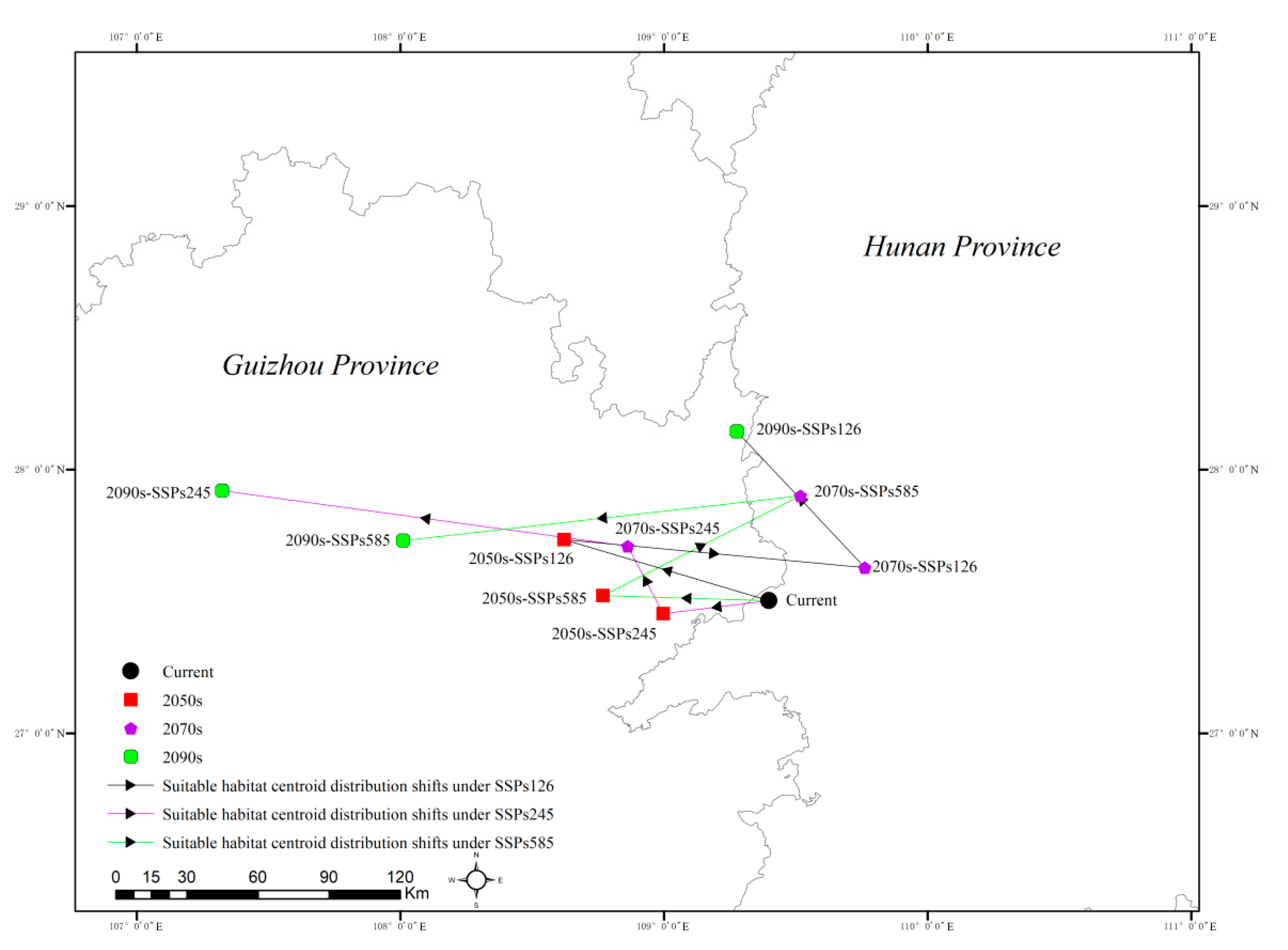 Plants 13 01744 g008