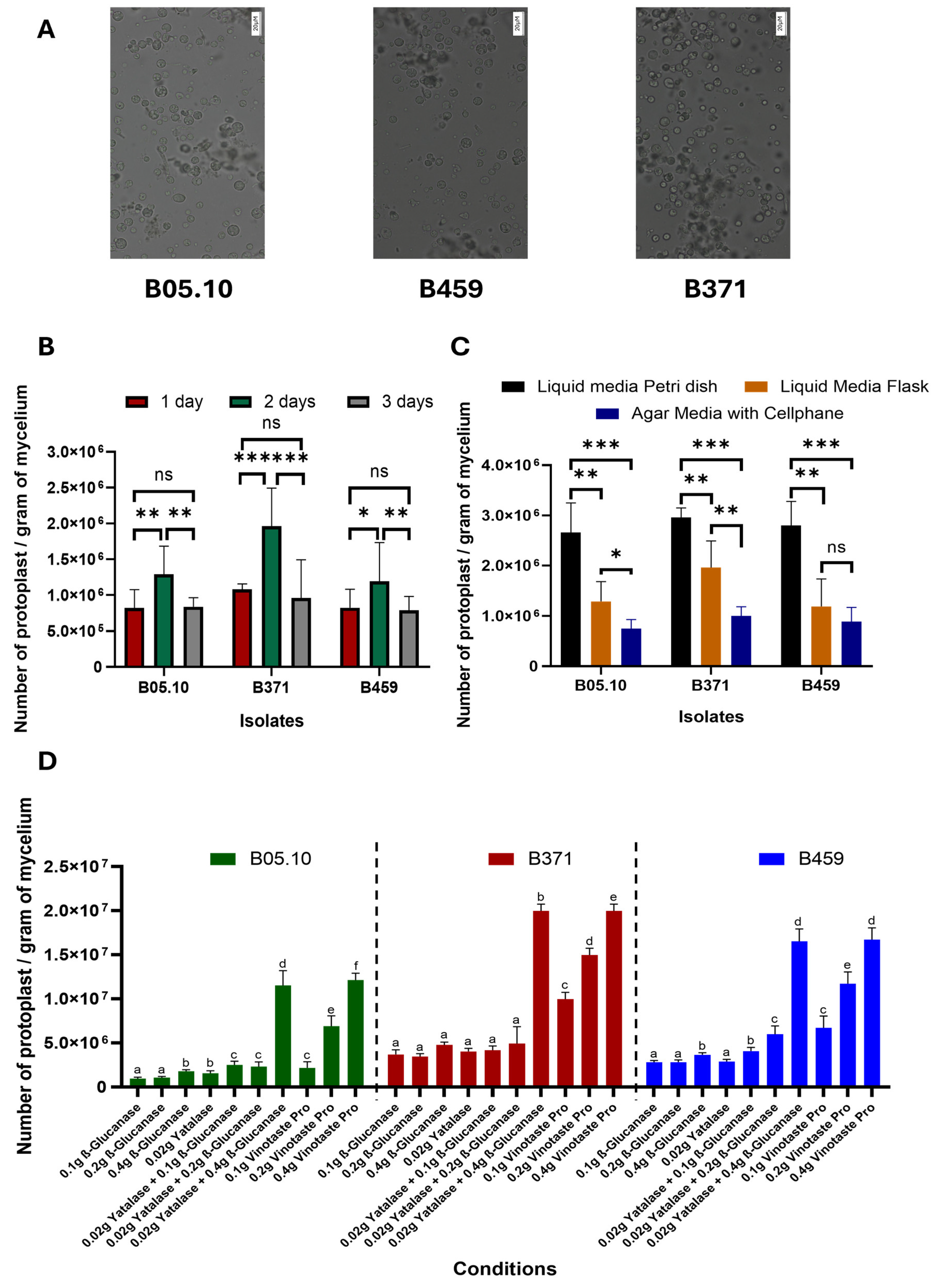 Plants 13 01754 g001