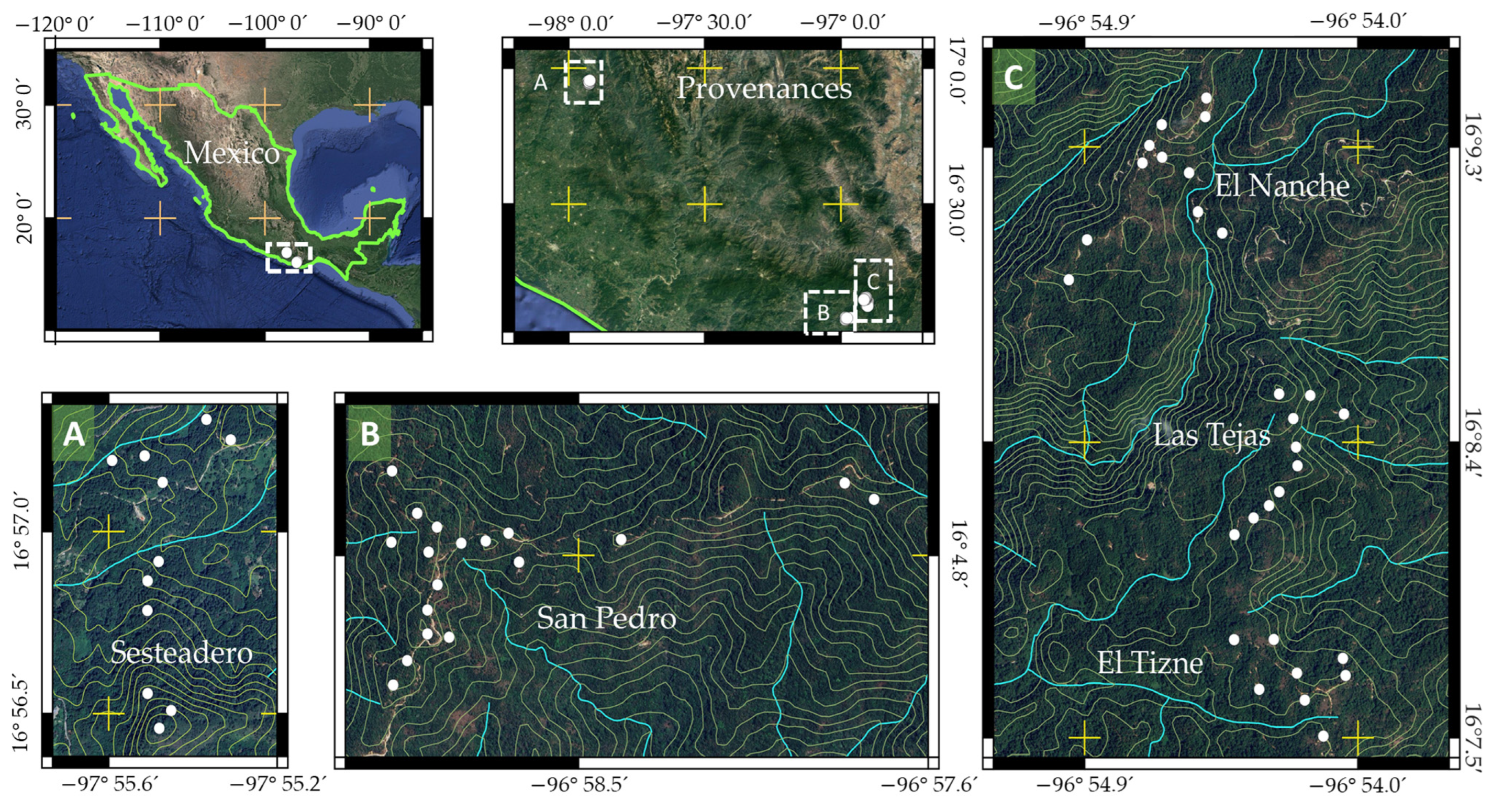 Plants 13 01755 g003