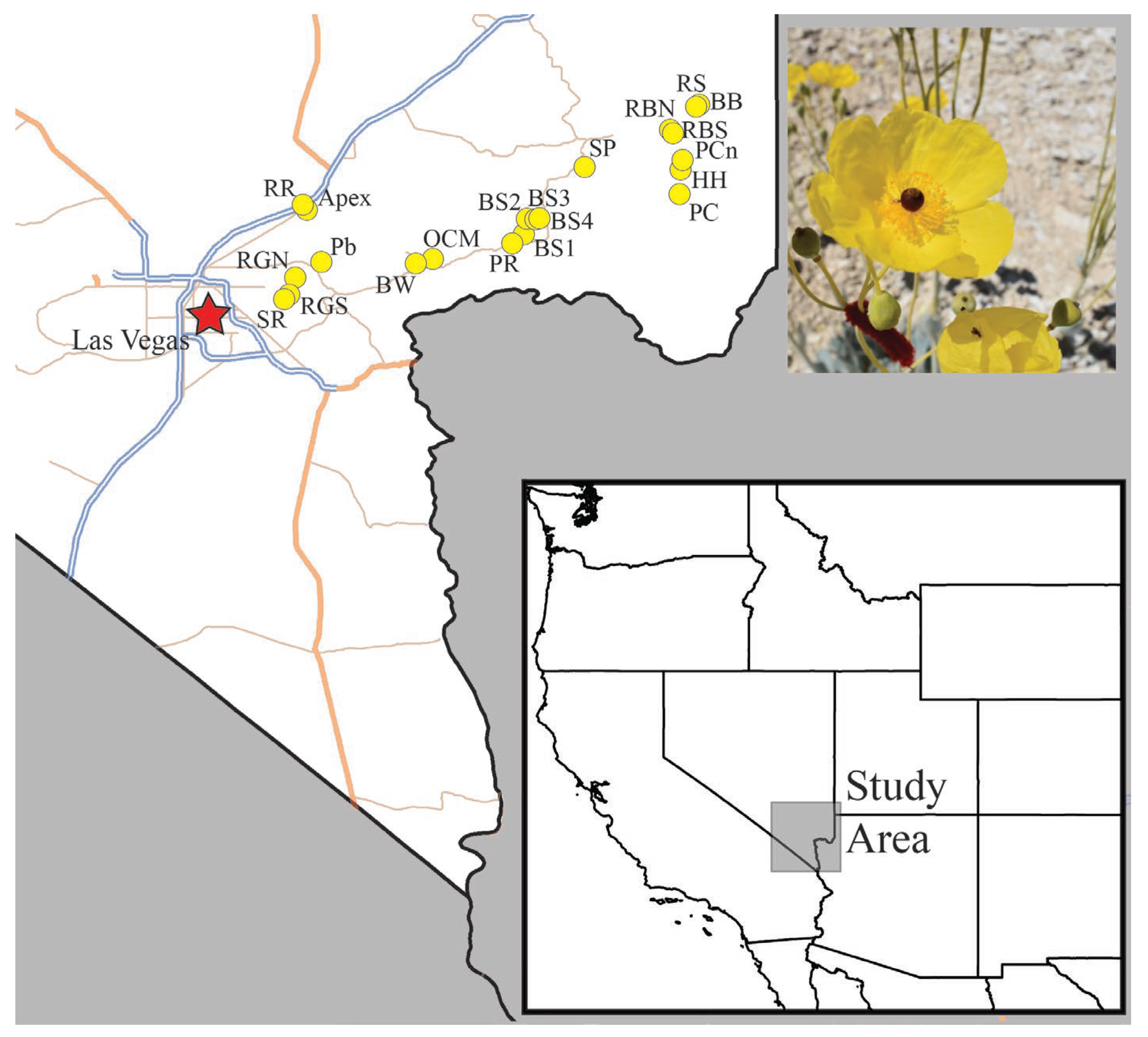 Plants 13 01762 g007