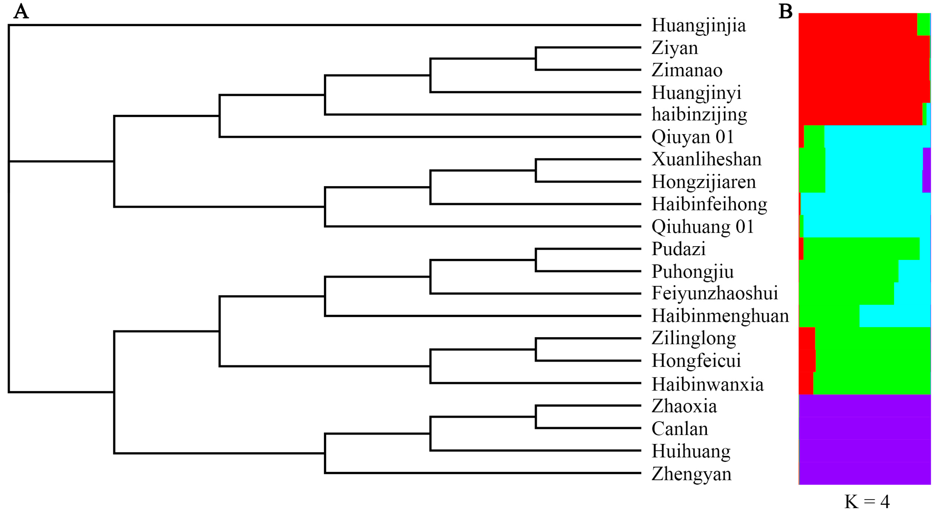 Plants 13 01767 g002
