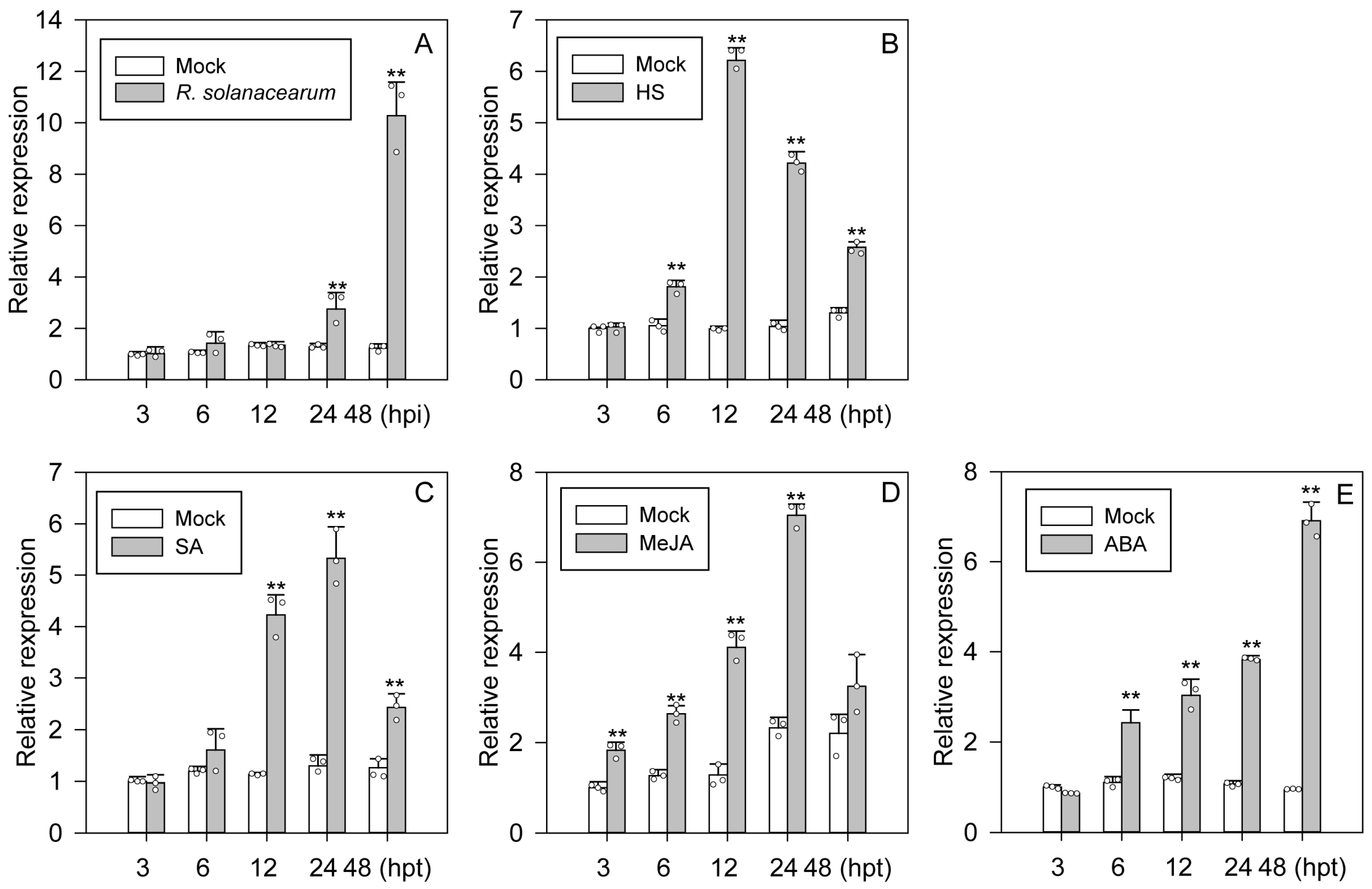 Plants 13 01775 g002