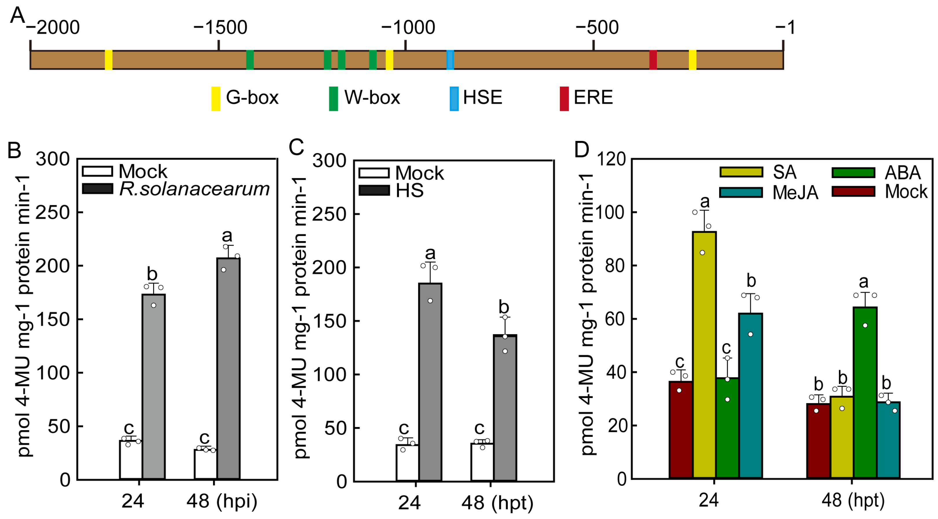 Plants 13 01775 g003