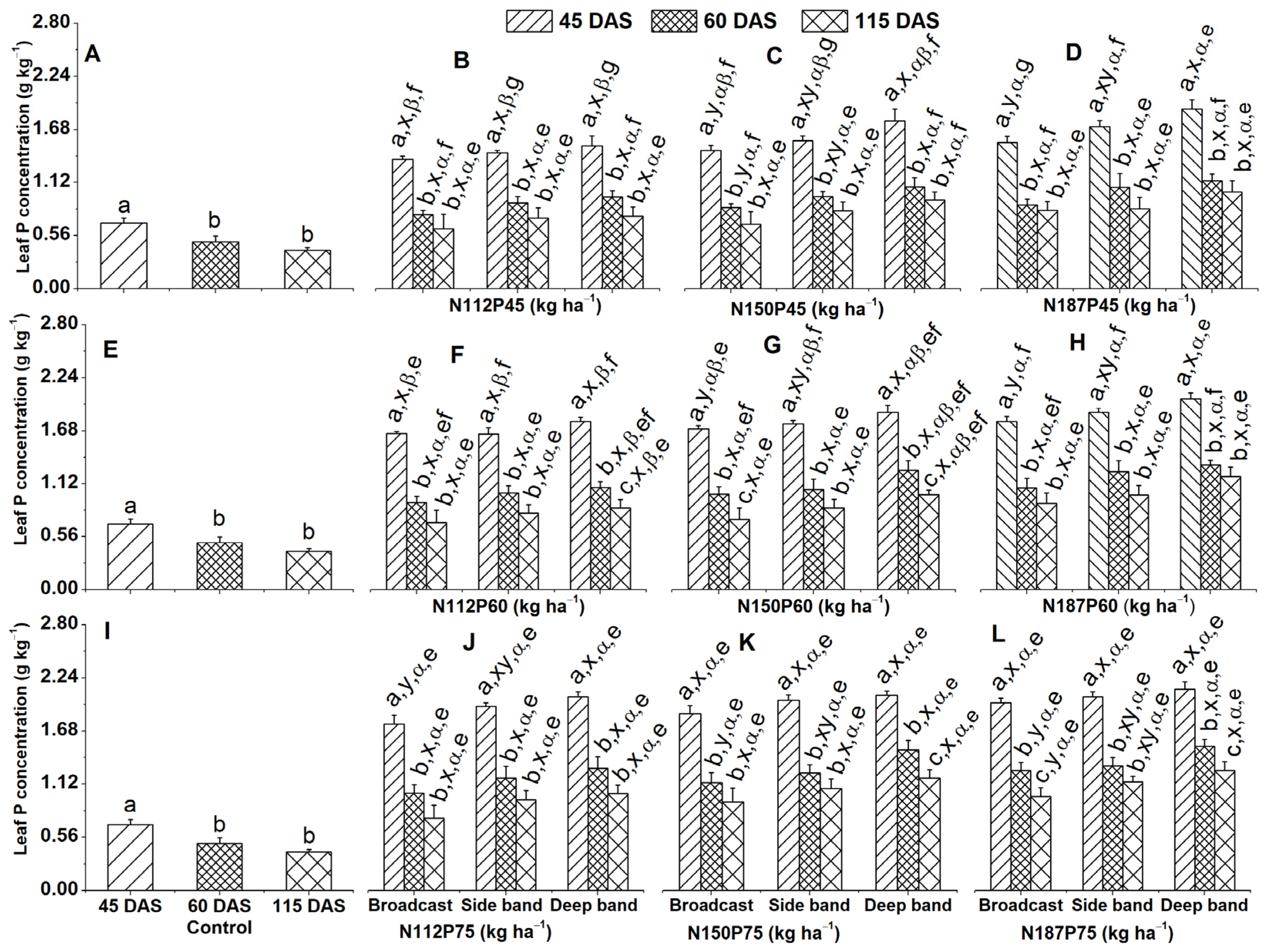 Plants 13 01778 g001