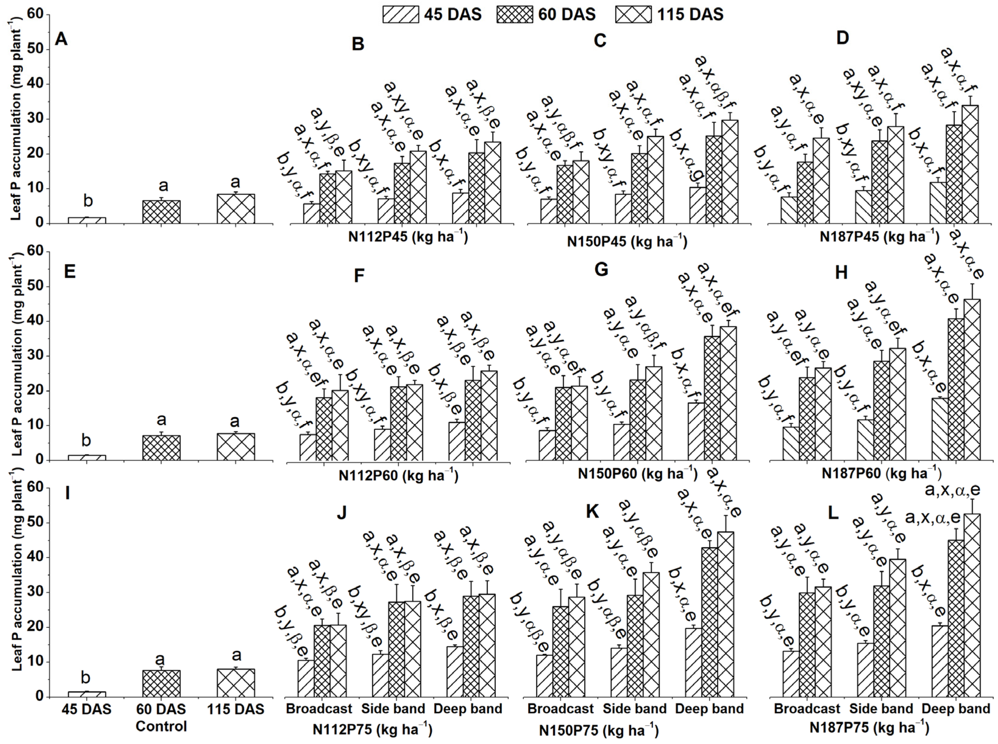 Plants 13 01778 g002
