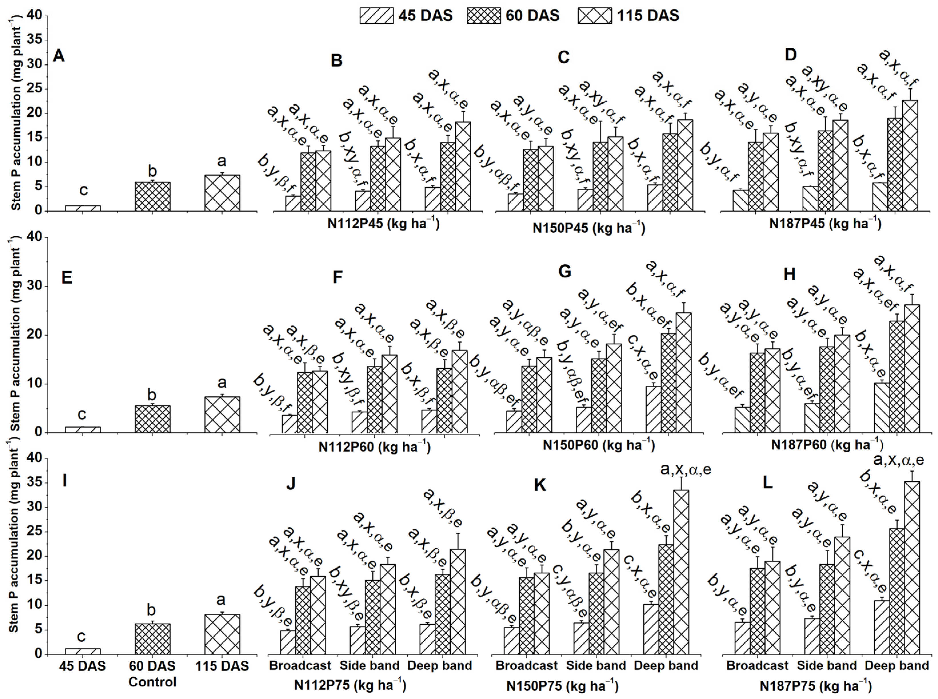 Plants 13 01778 g004