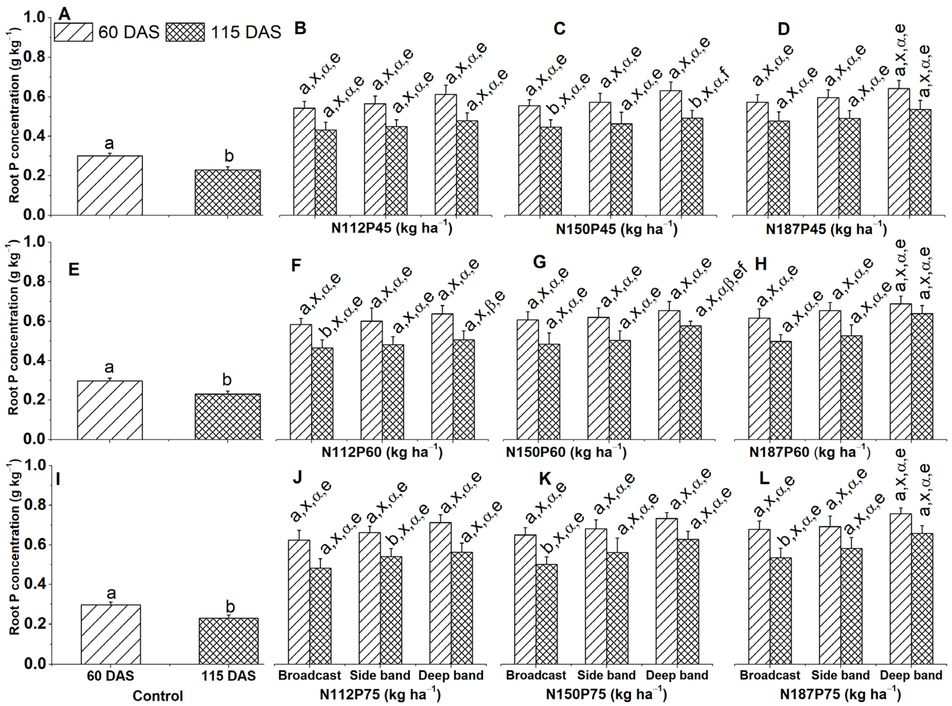 Plants 13 01778 g005
