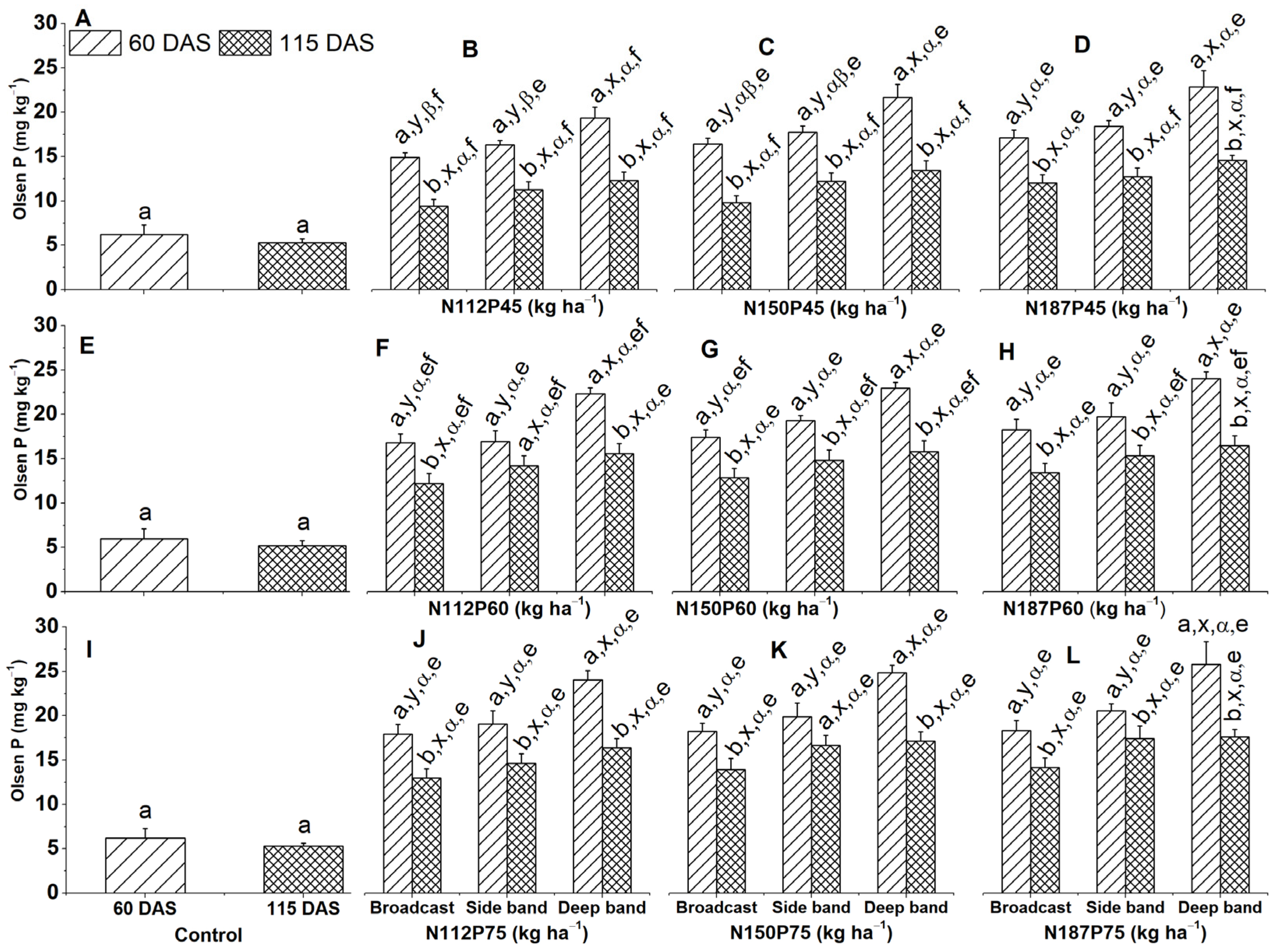 Plants 13 01778 g009