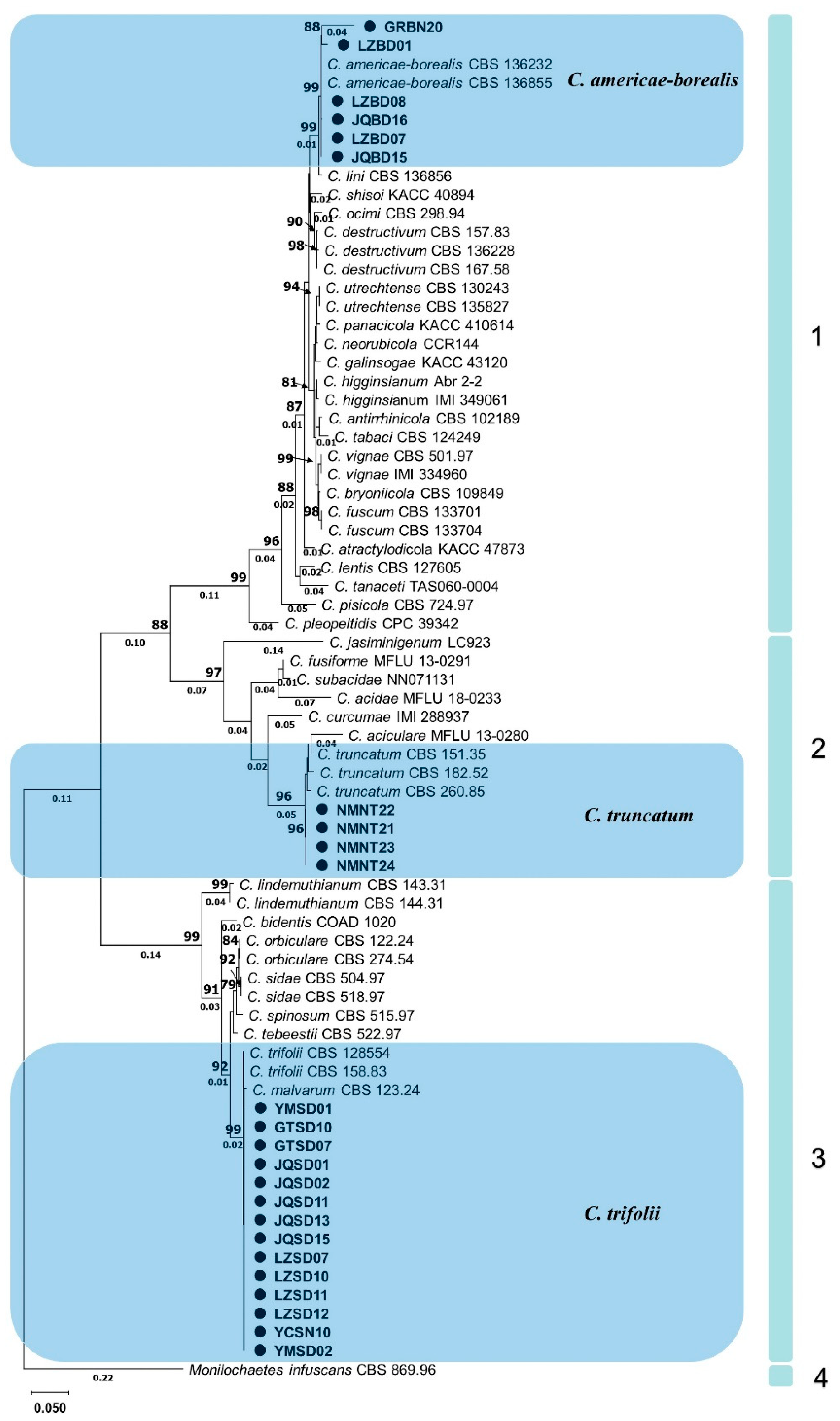 Plants 13 01780 g004 Plants 13 01780 g004
