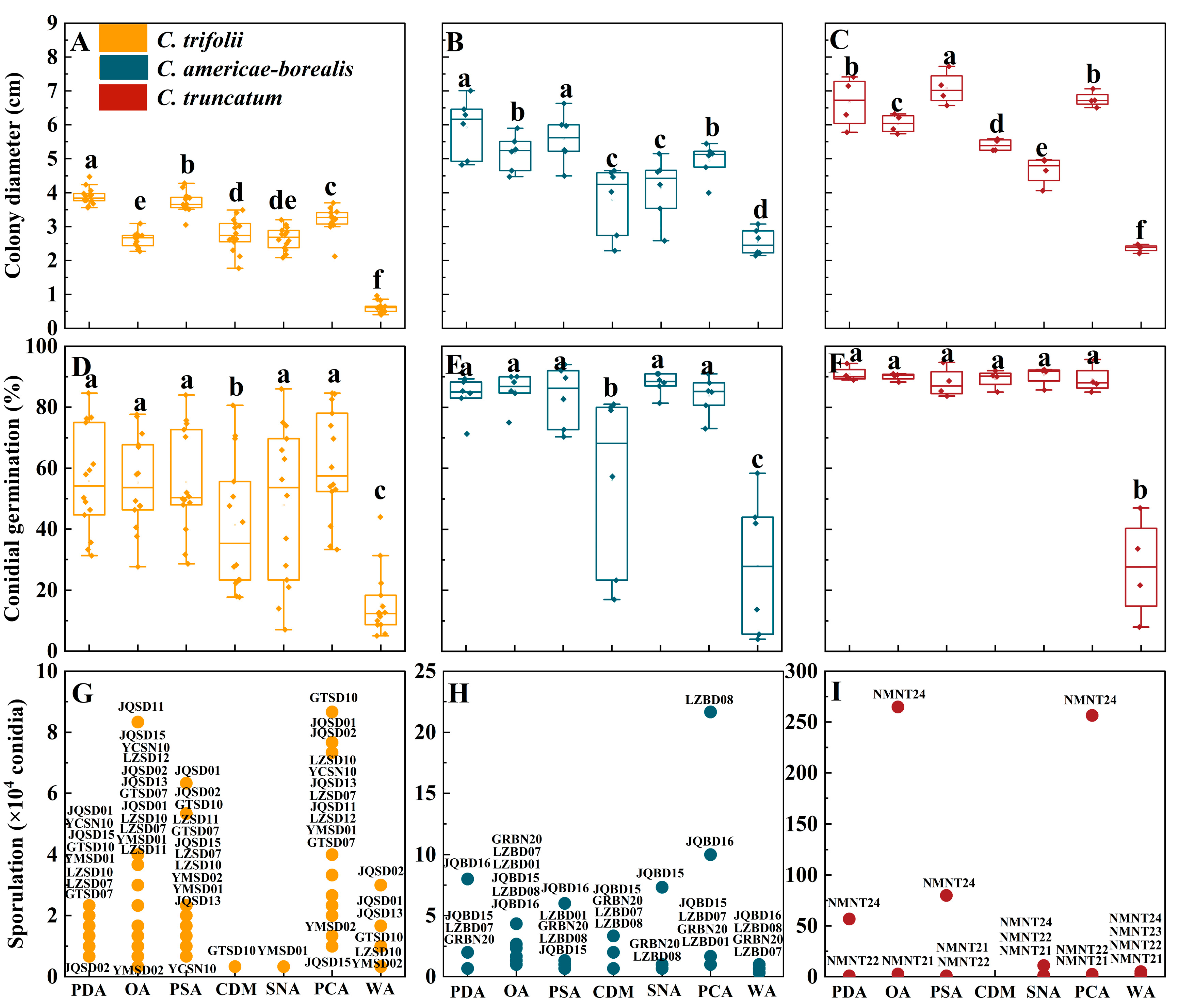 Plants 13 01780 g006 Plants 13 01780 g006