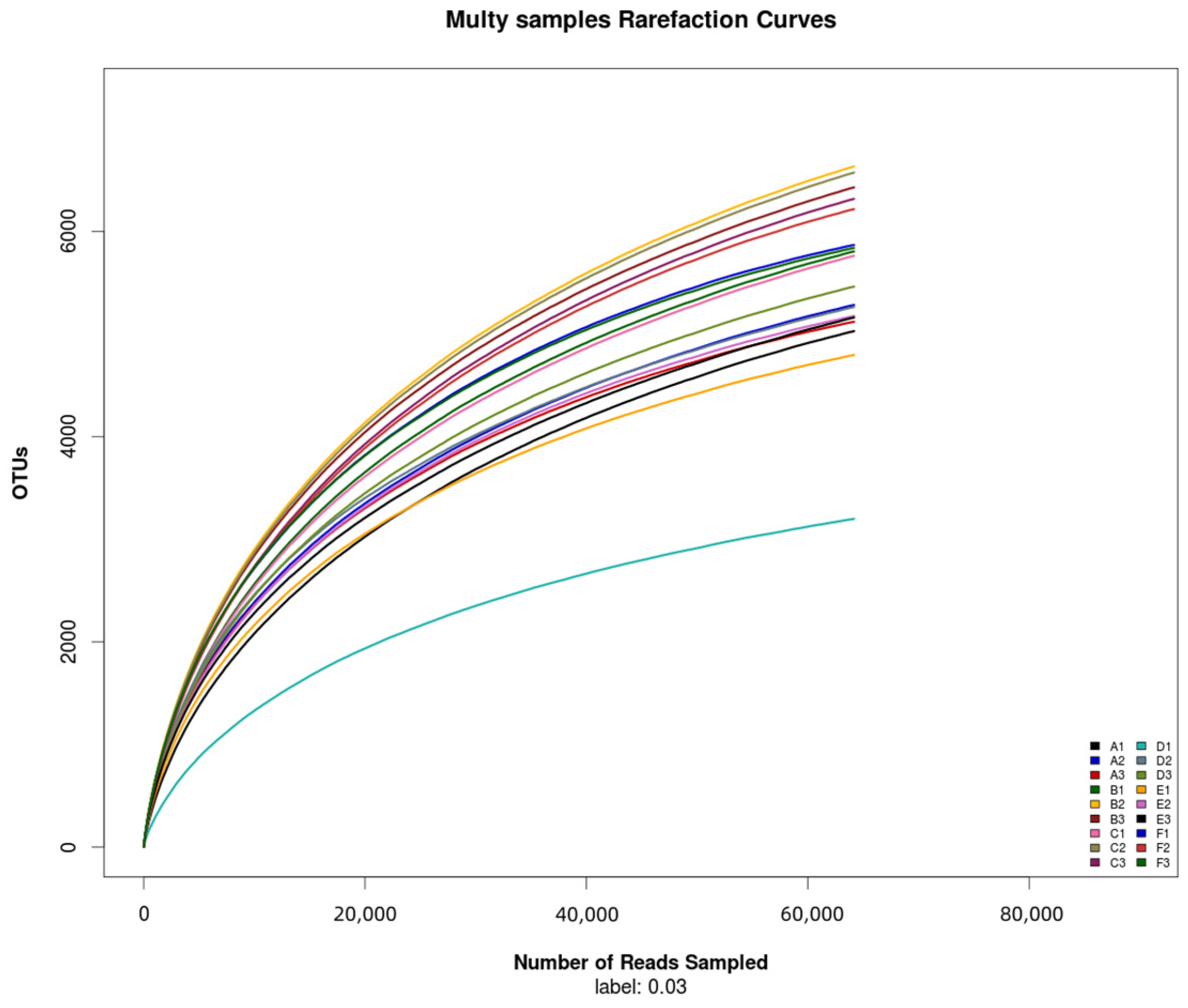 Plants 13 01787 g002