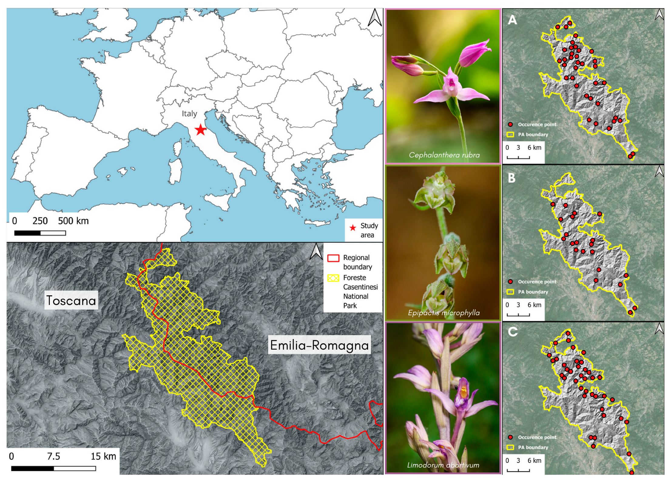 Plants 13 01810 g001