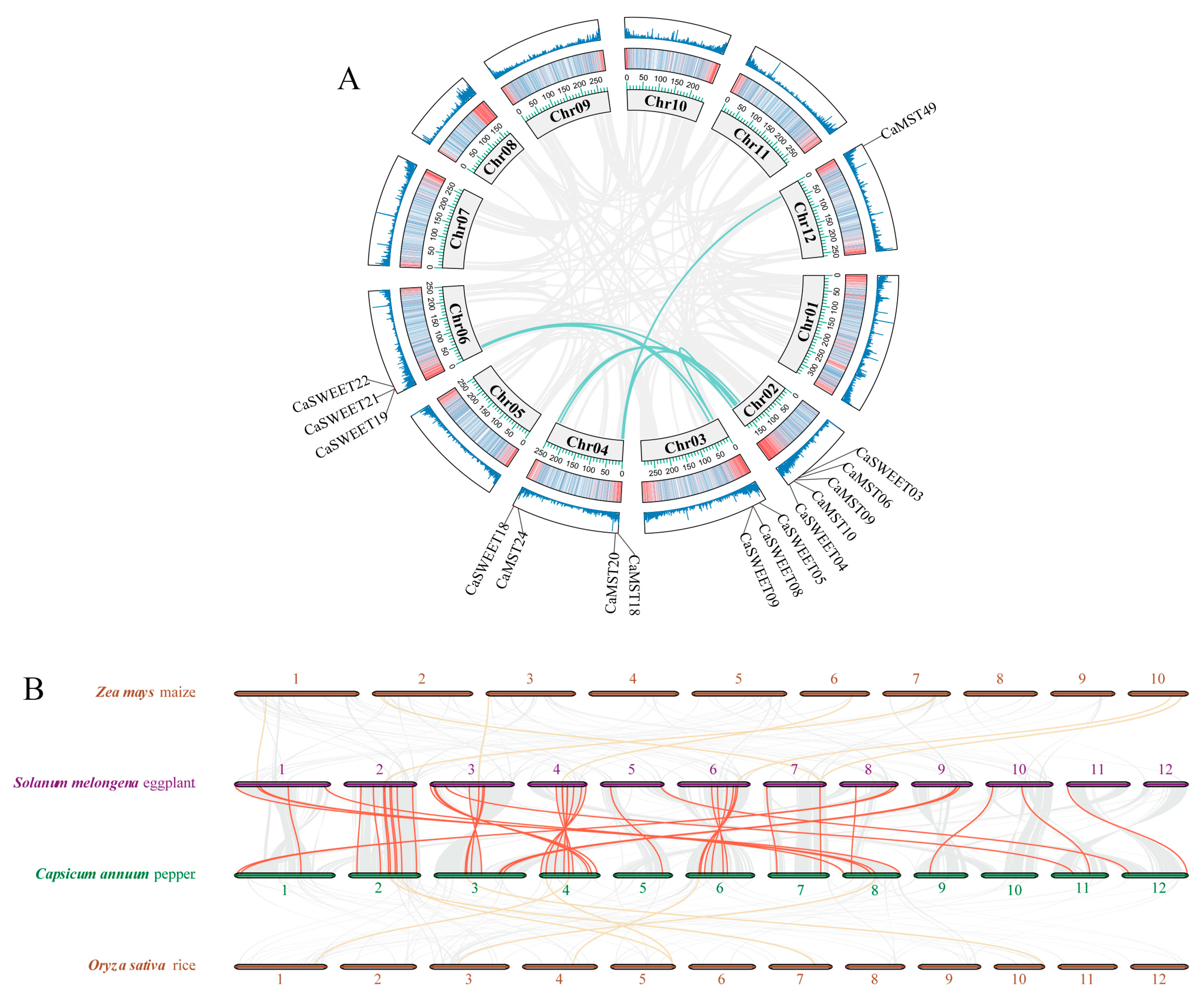 Plants 13 01825 g002