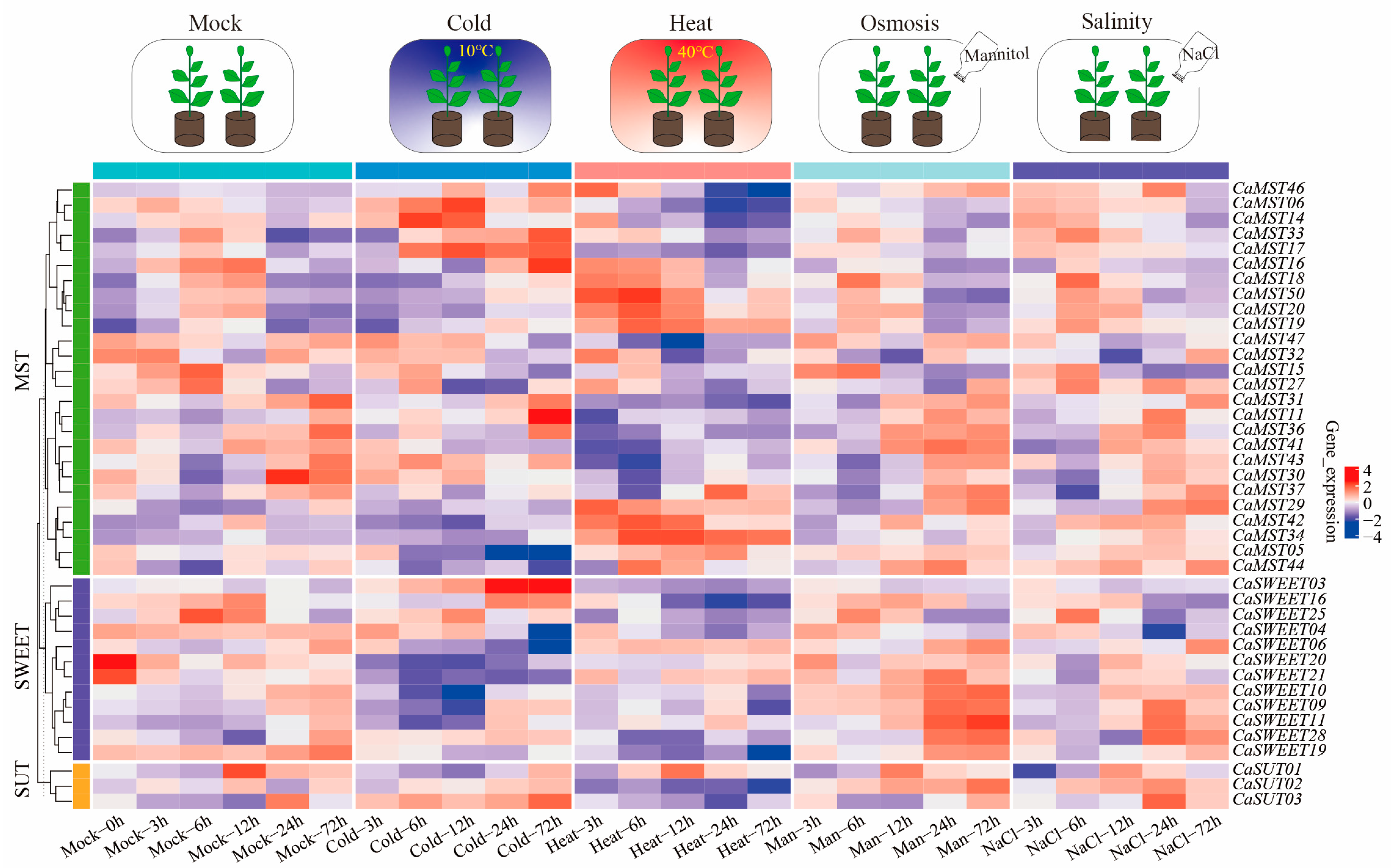 Plants 13 01825 g006