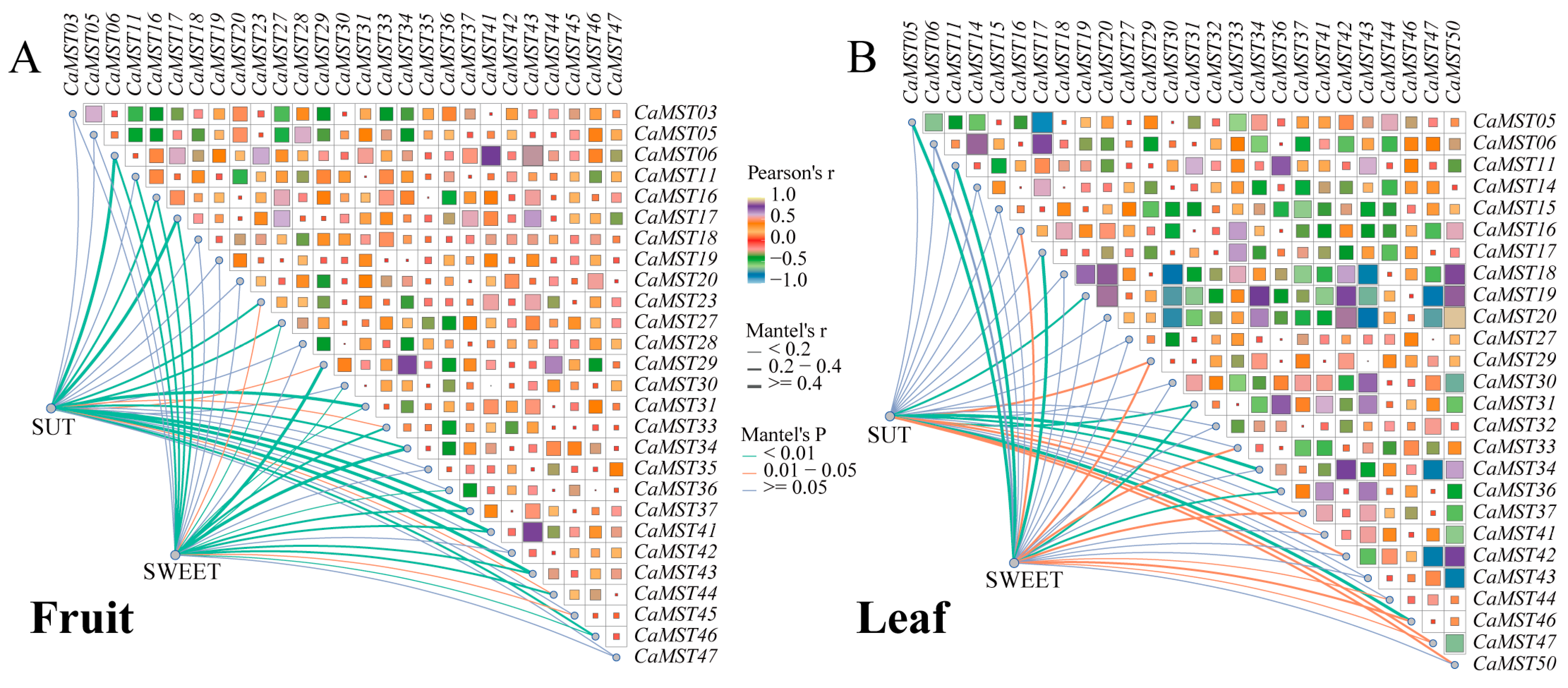 Plants 13 01825 g008
