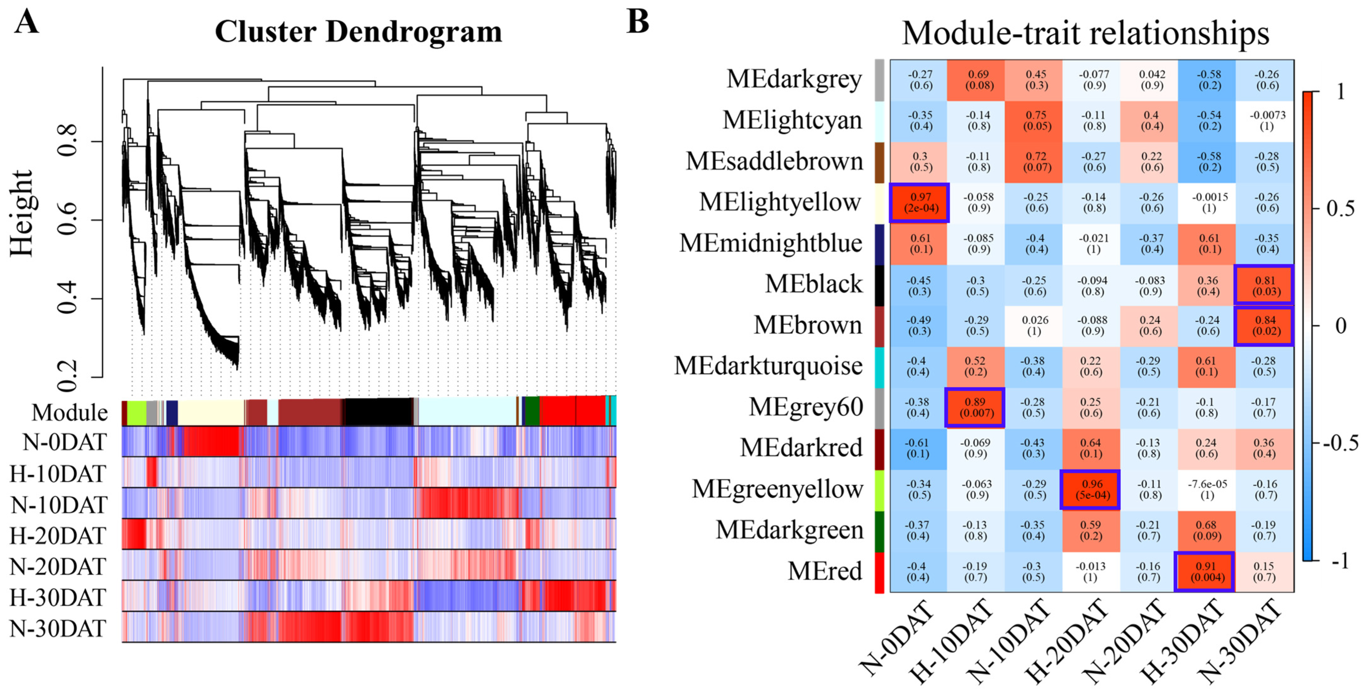 Plants 13 01832 g003